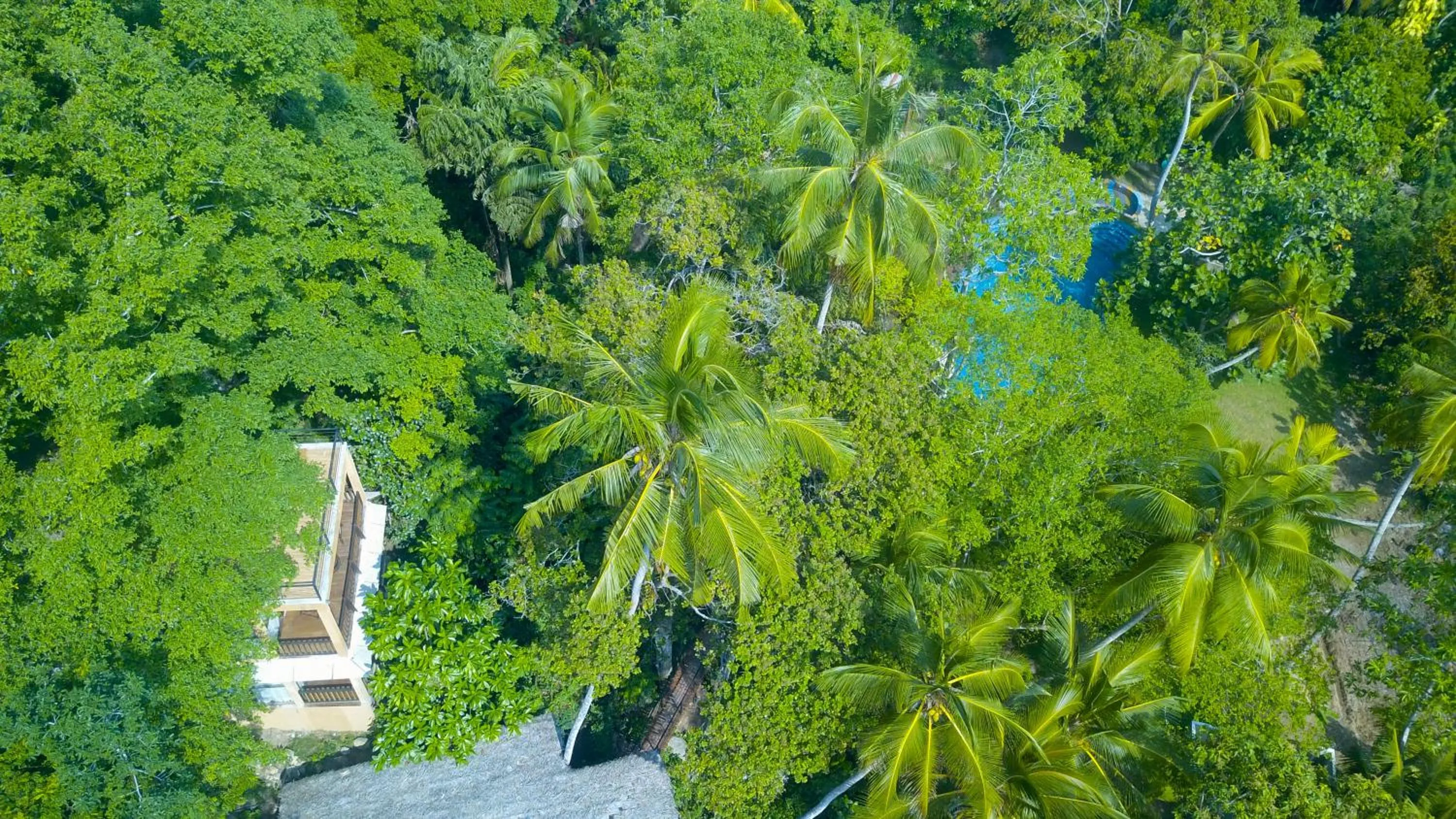 Bird's eye view in Jungle Village Unawatuna