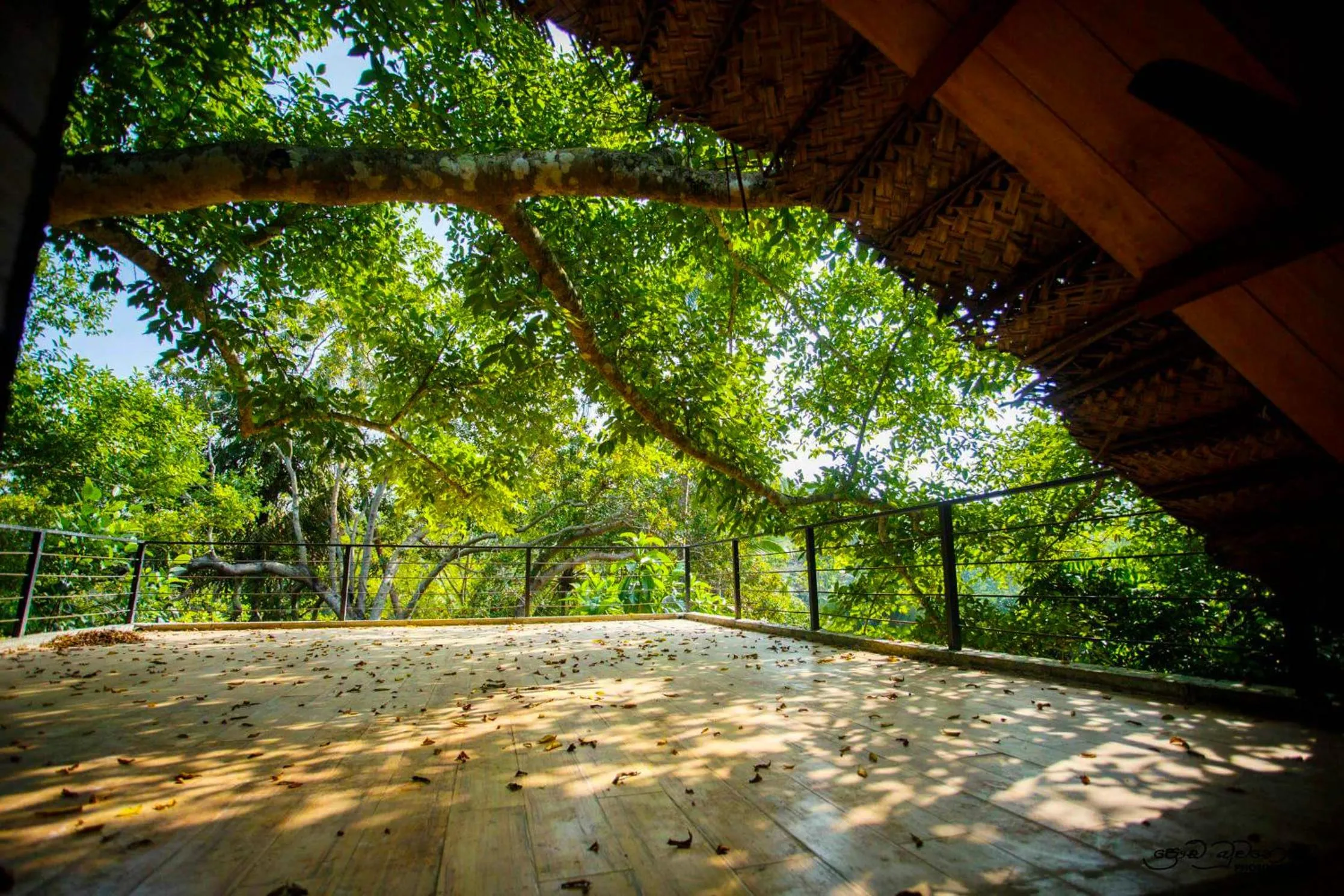 On site in Jungle Village Unawatuna