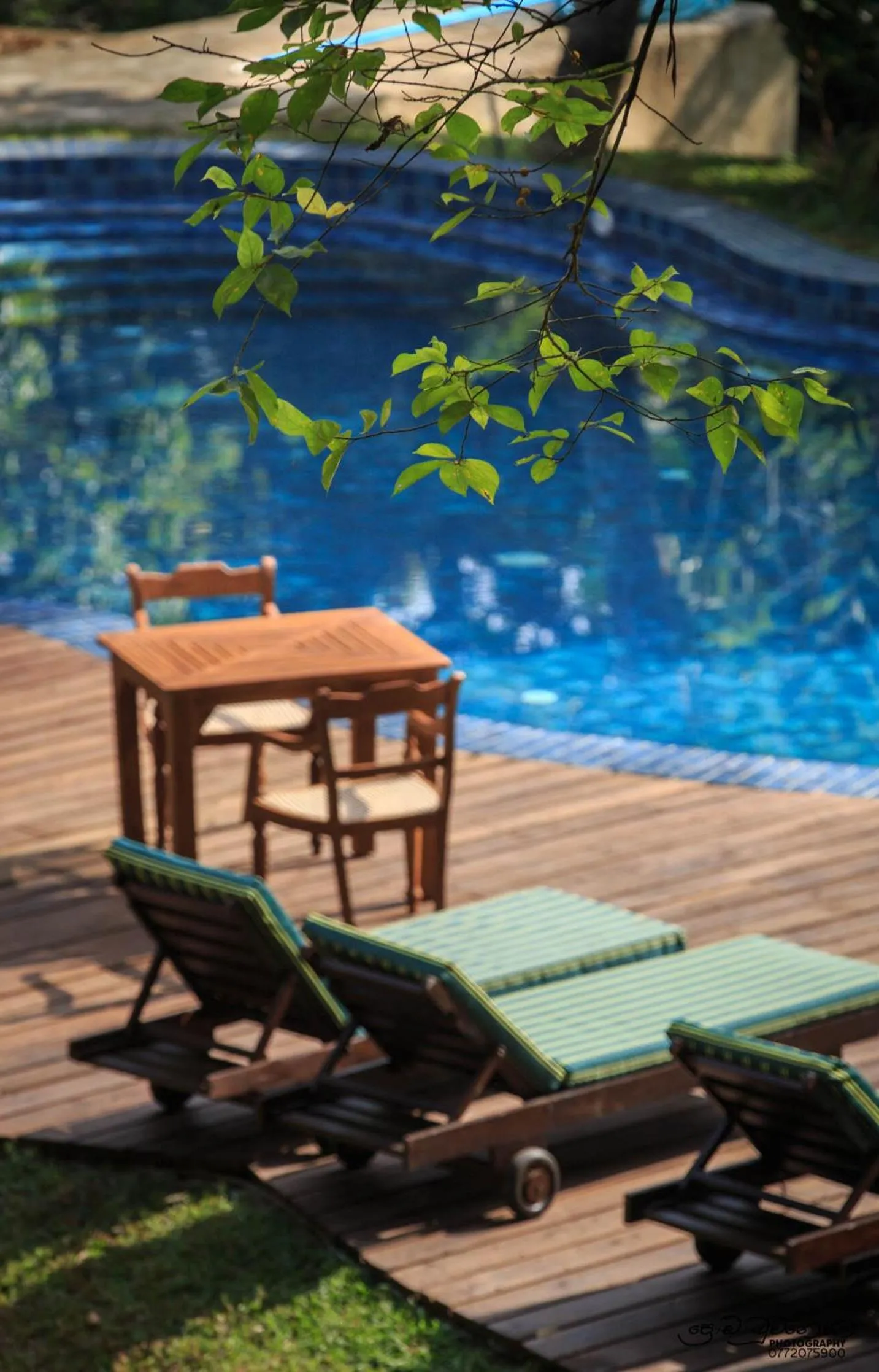 Area and facilities in Jungle Village Unawatuna