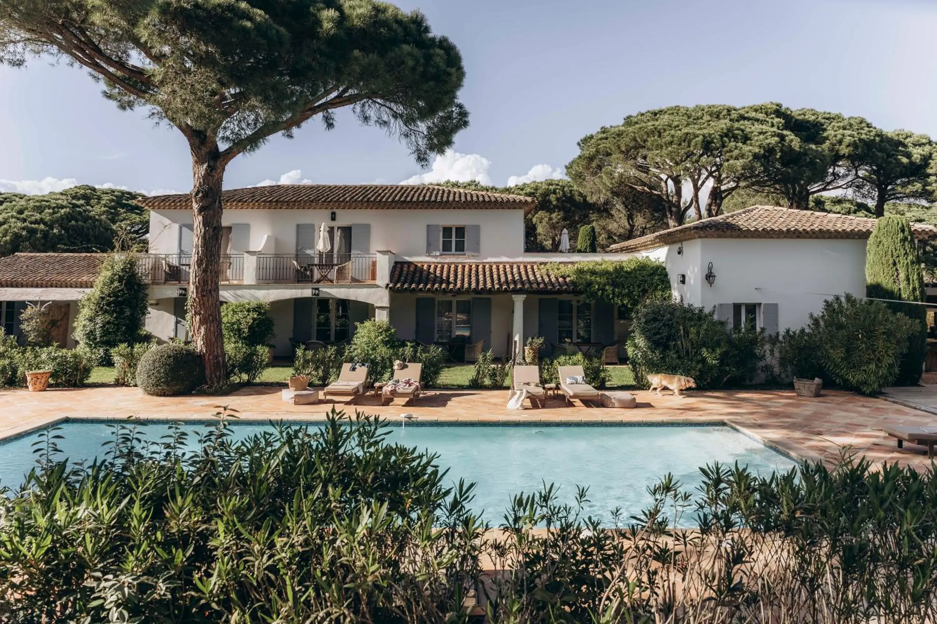 La Villa d'Andrea La Villa d'Andrea