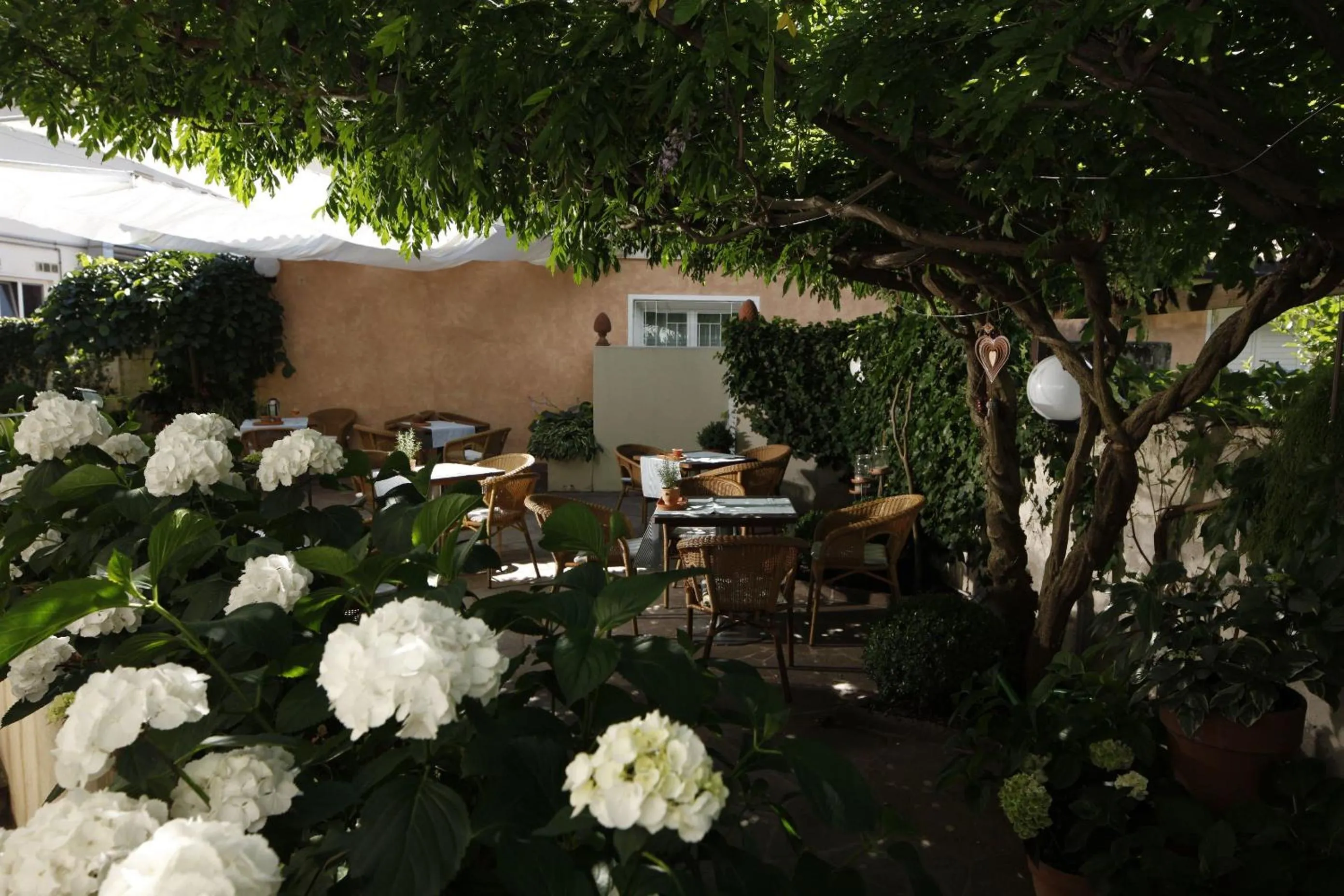 Patio in Hotel Sparerhof