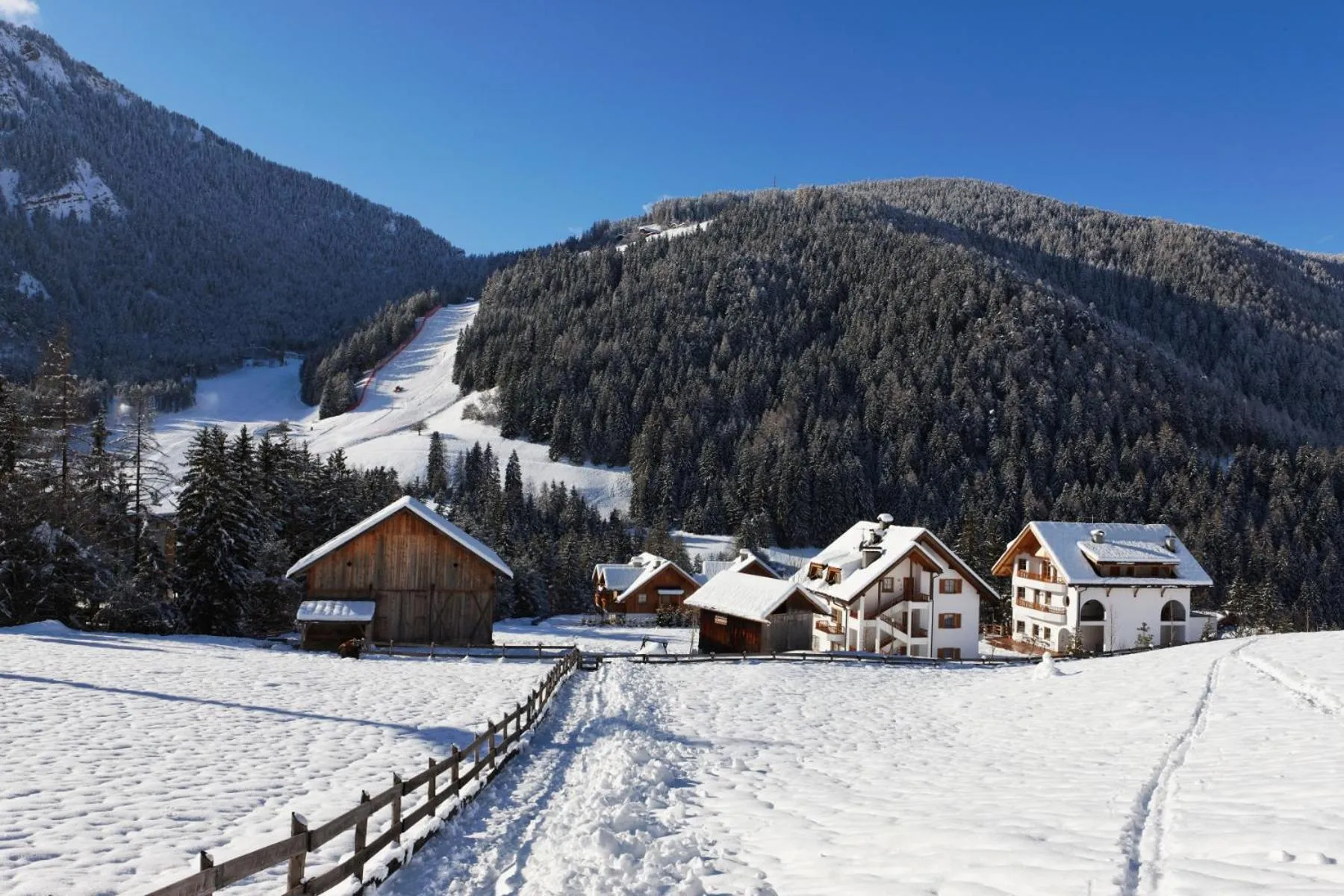 Neighbourhood in Villa Ortensia