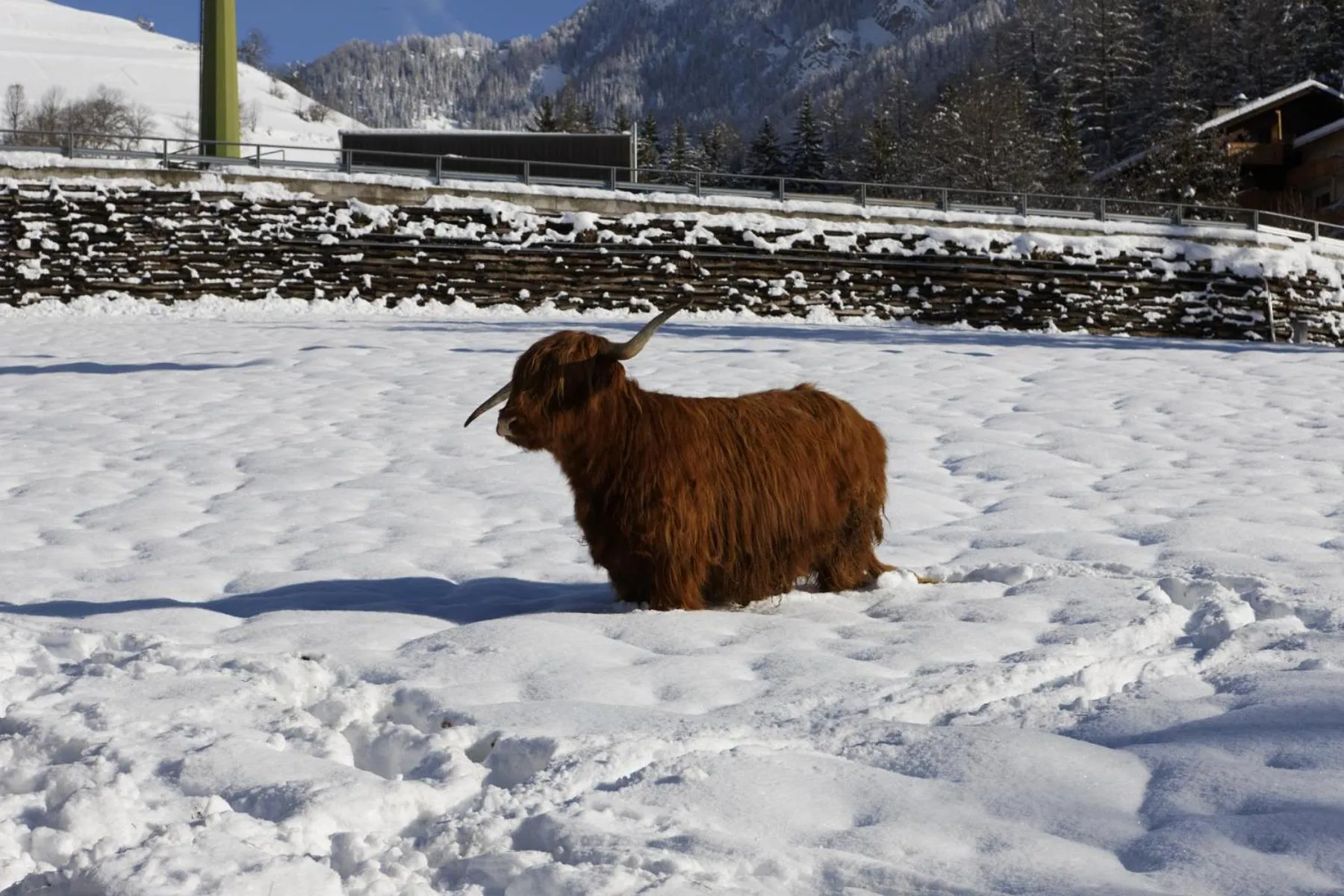 Winter in Villa Ortensia