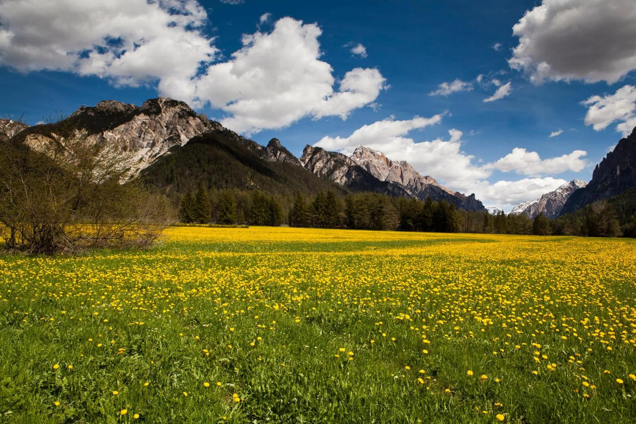 Sauna in Villa Ortensia