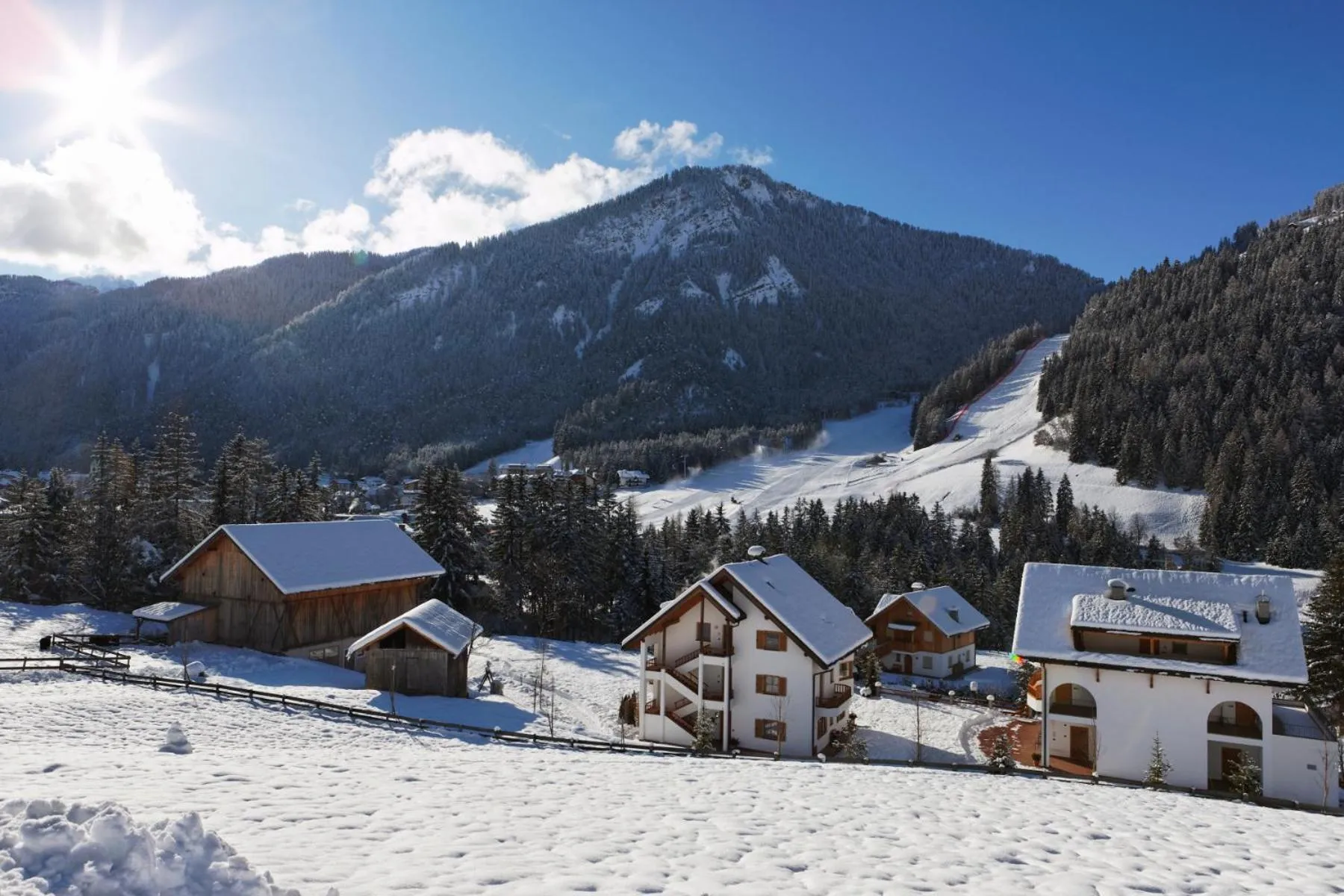 Neighbourhood in Villa Ortensia