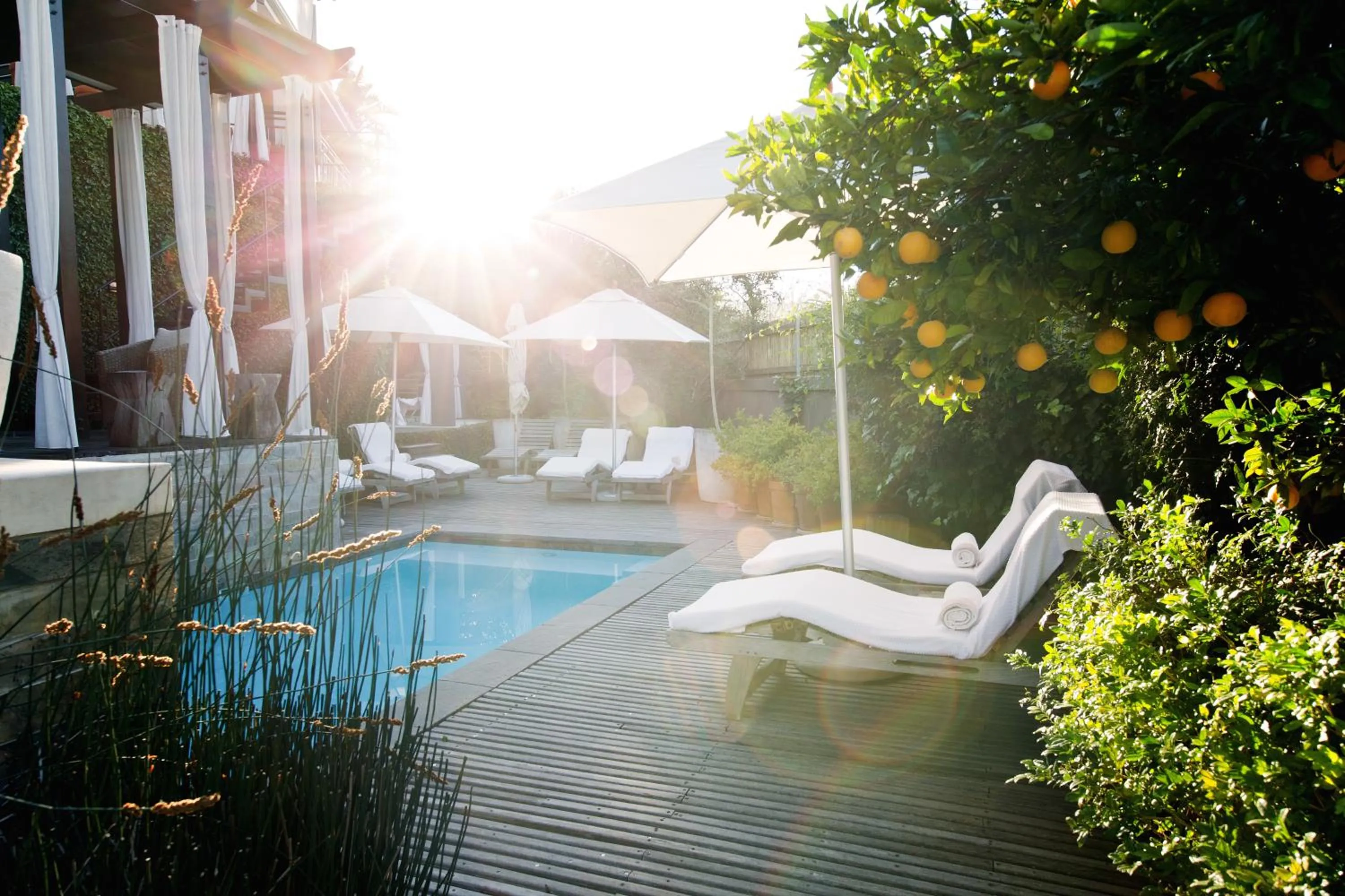 Garden in Kensington Place