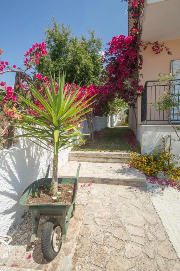 Garden in Summer Dream