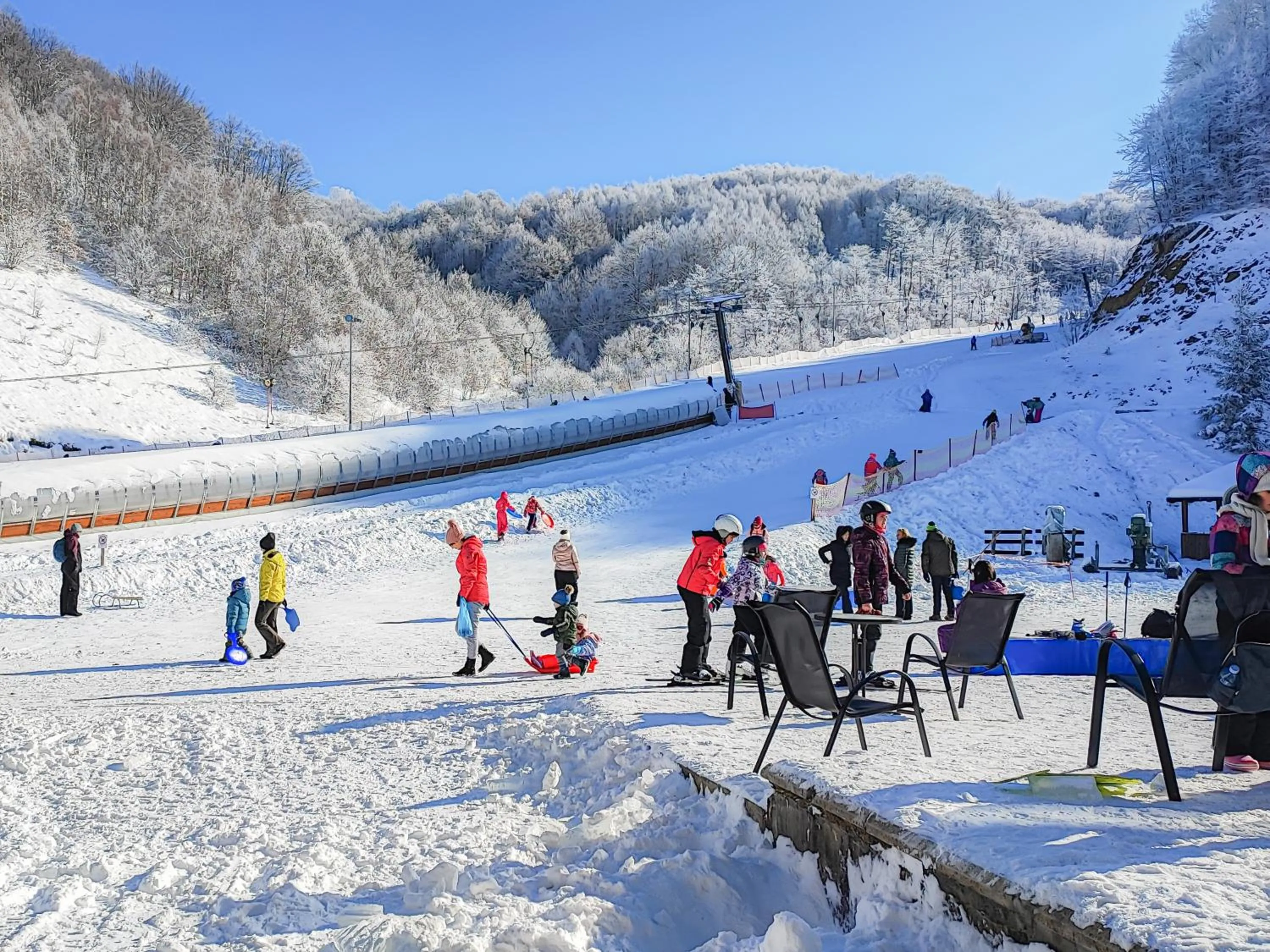 Restaurant/places to eat in Hotel Junior