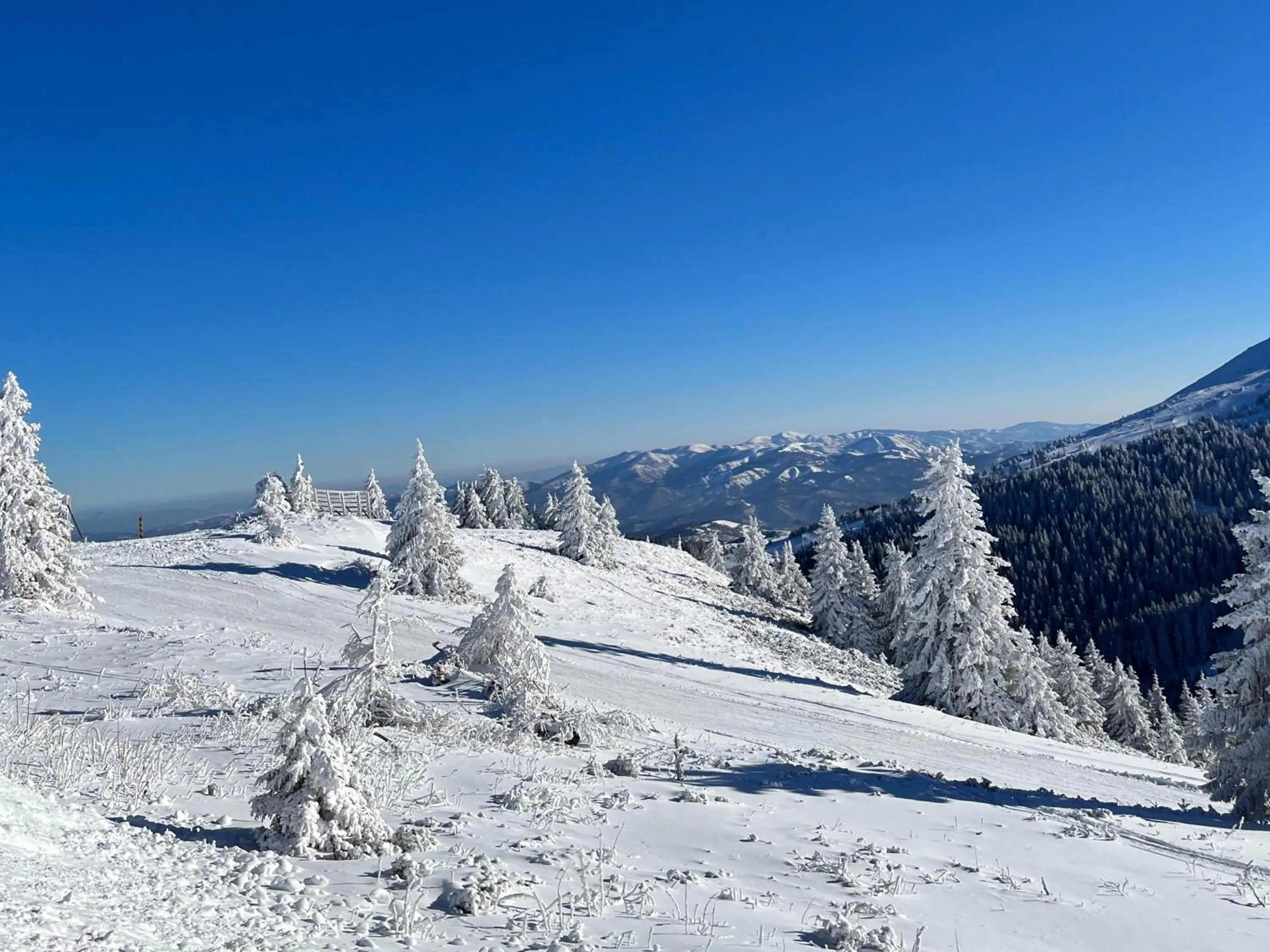 Neighbourhood in Hotel Junior