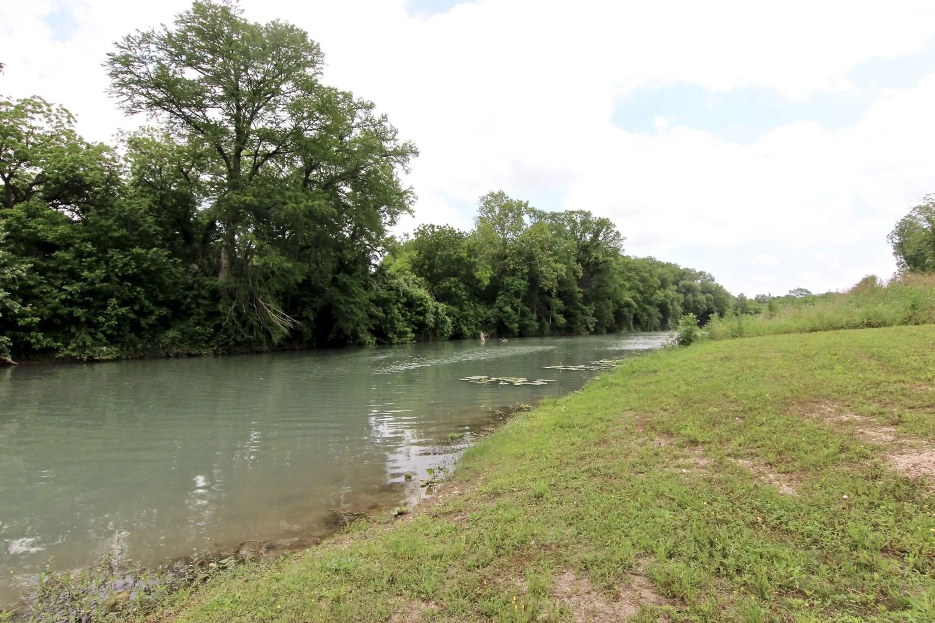 Natural landscape in The River House