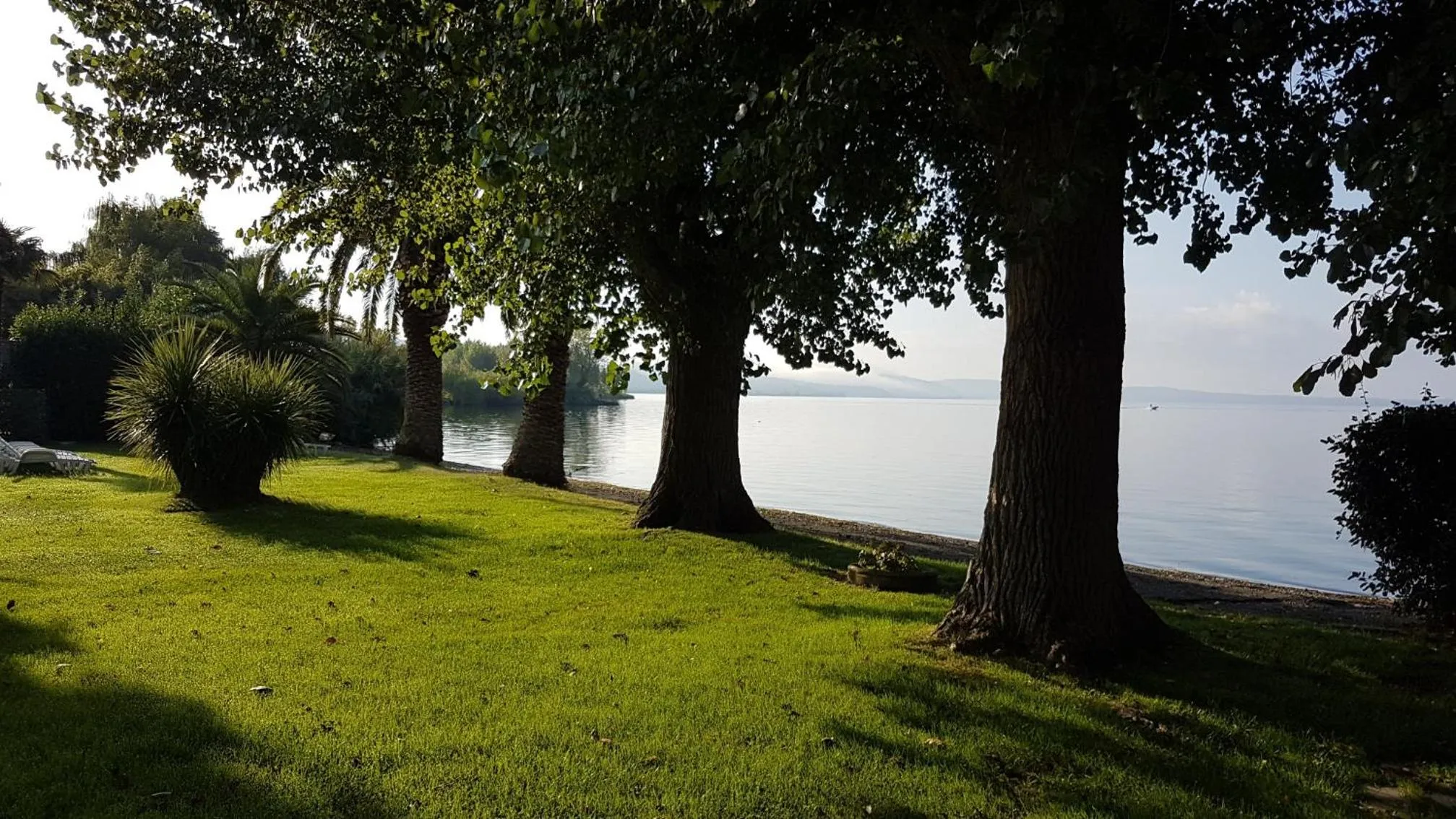 Garden view in Hotel Eden Sul Lago