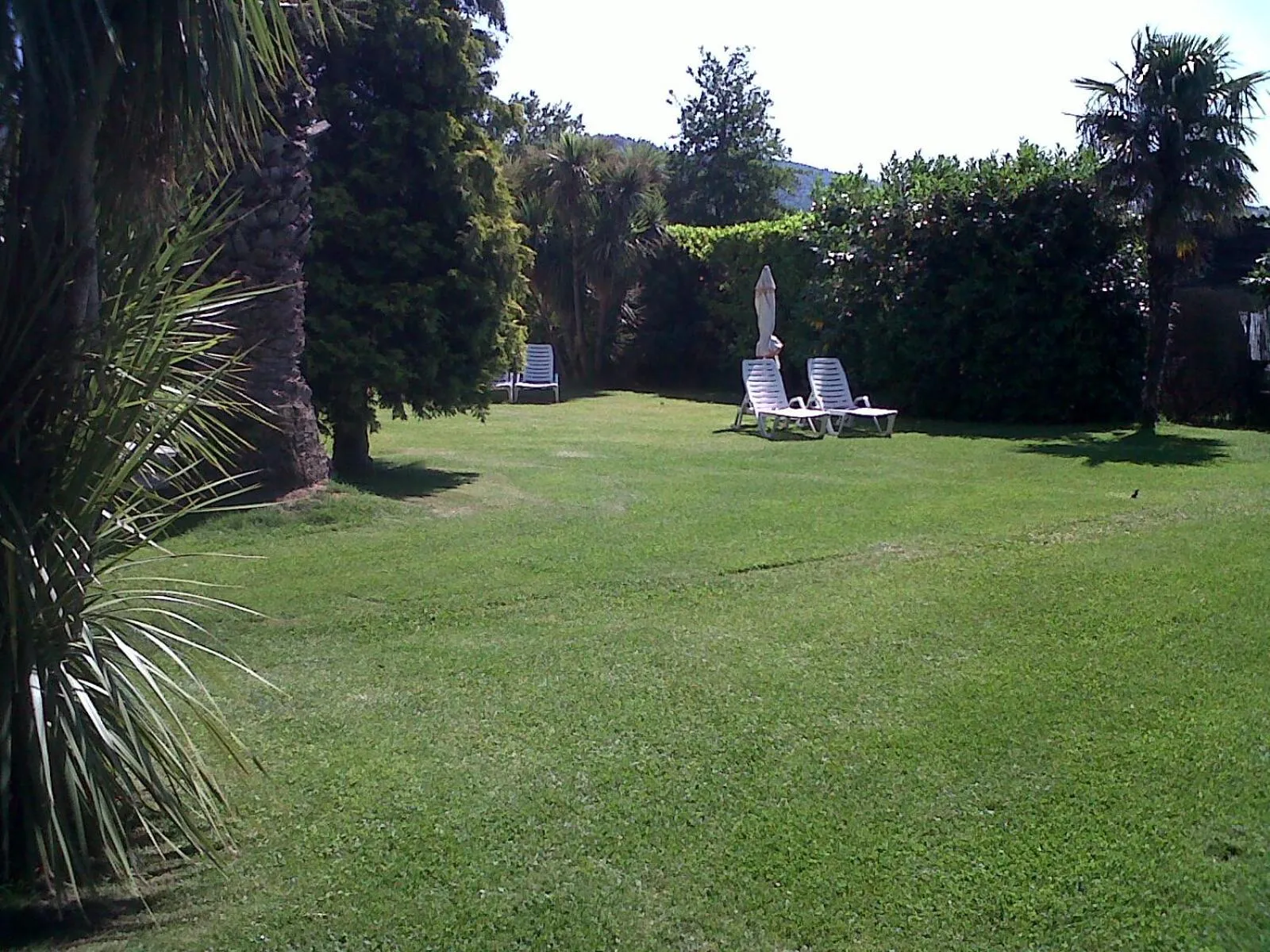 Garden in Hotel Eden Sul Lago