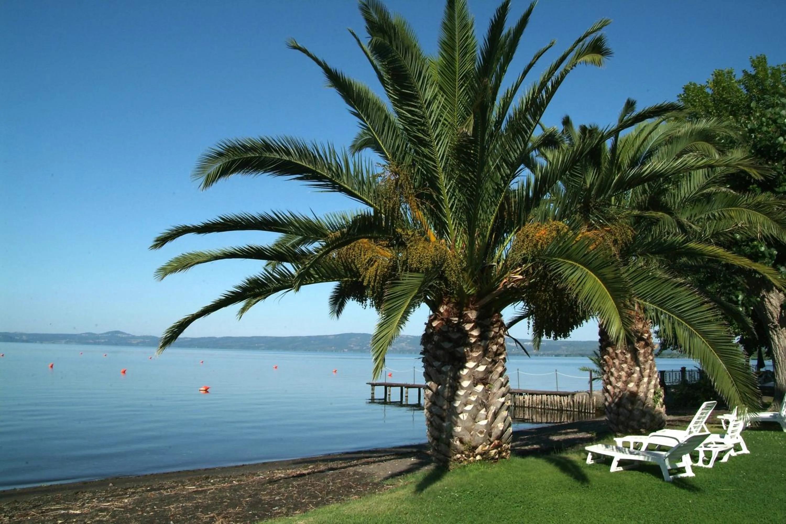 Garden in Hotel Eden Sul Lago