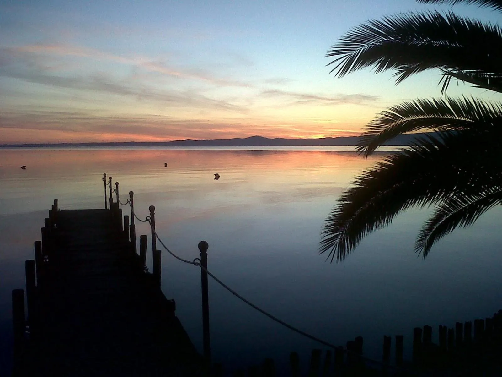 Garden in Hotel Eden Sul Lago