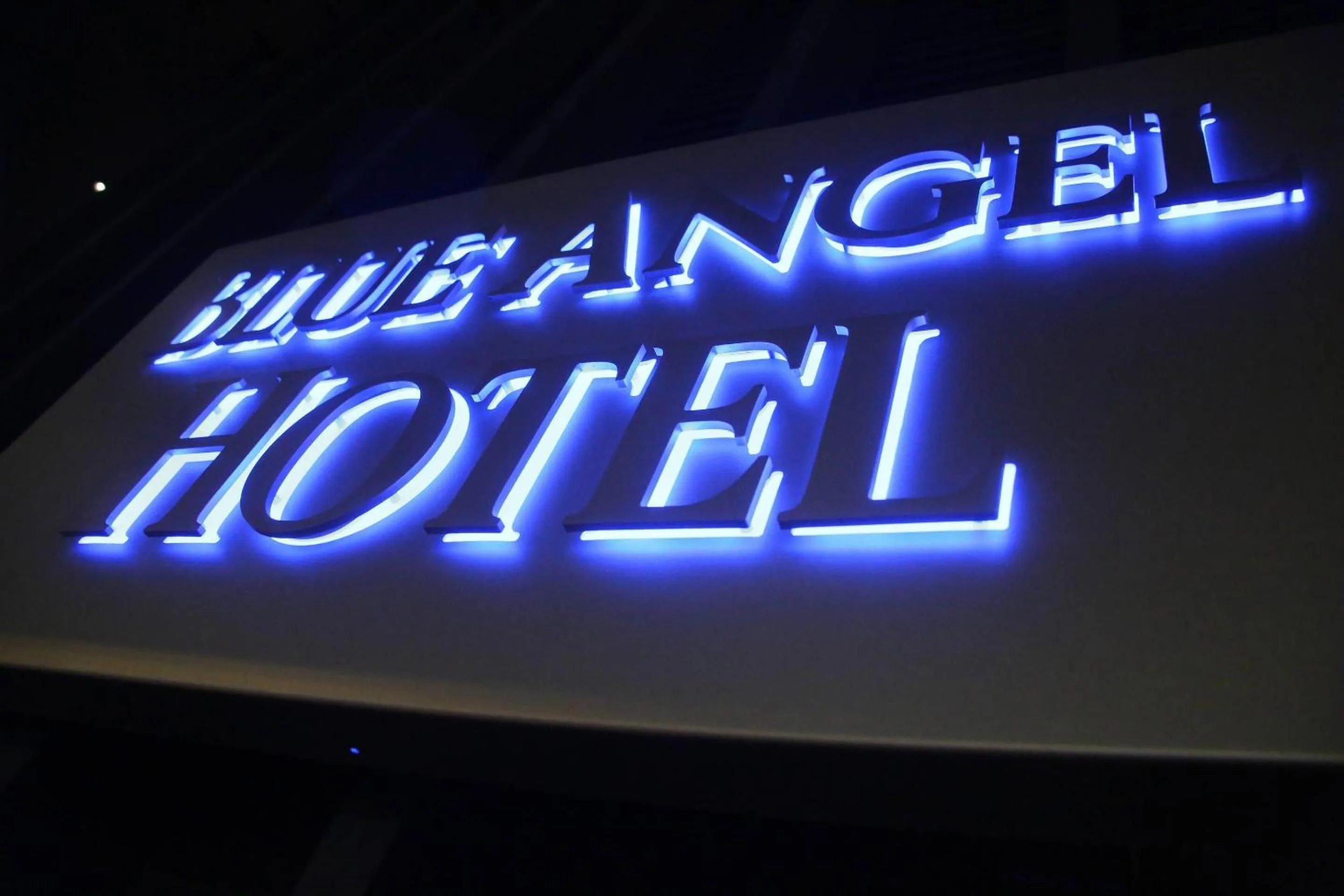 Property building in The Historic Blue Angel Hotel Lexington Ave, an Ascend Collection