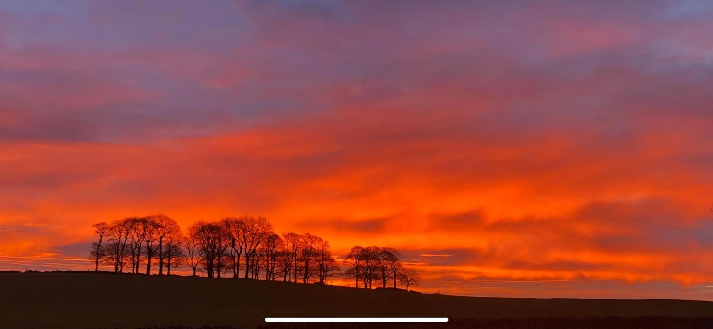 View (from property/room) in The Jug & Glass Inn