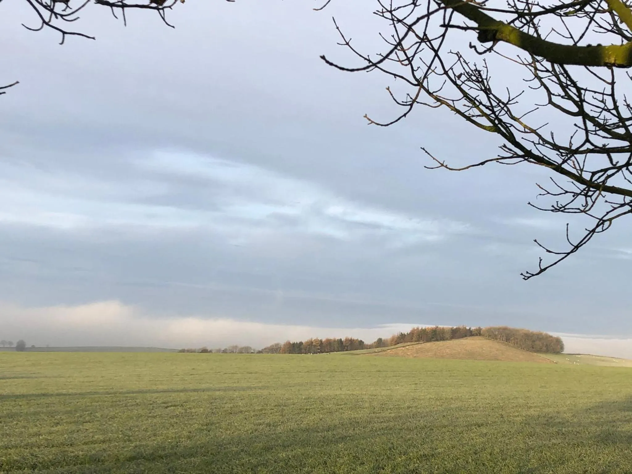 View (from property/room) in The Jug & Glass Inn