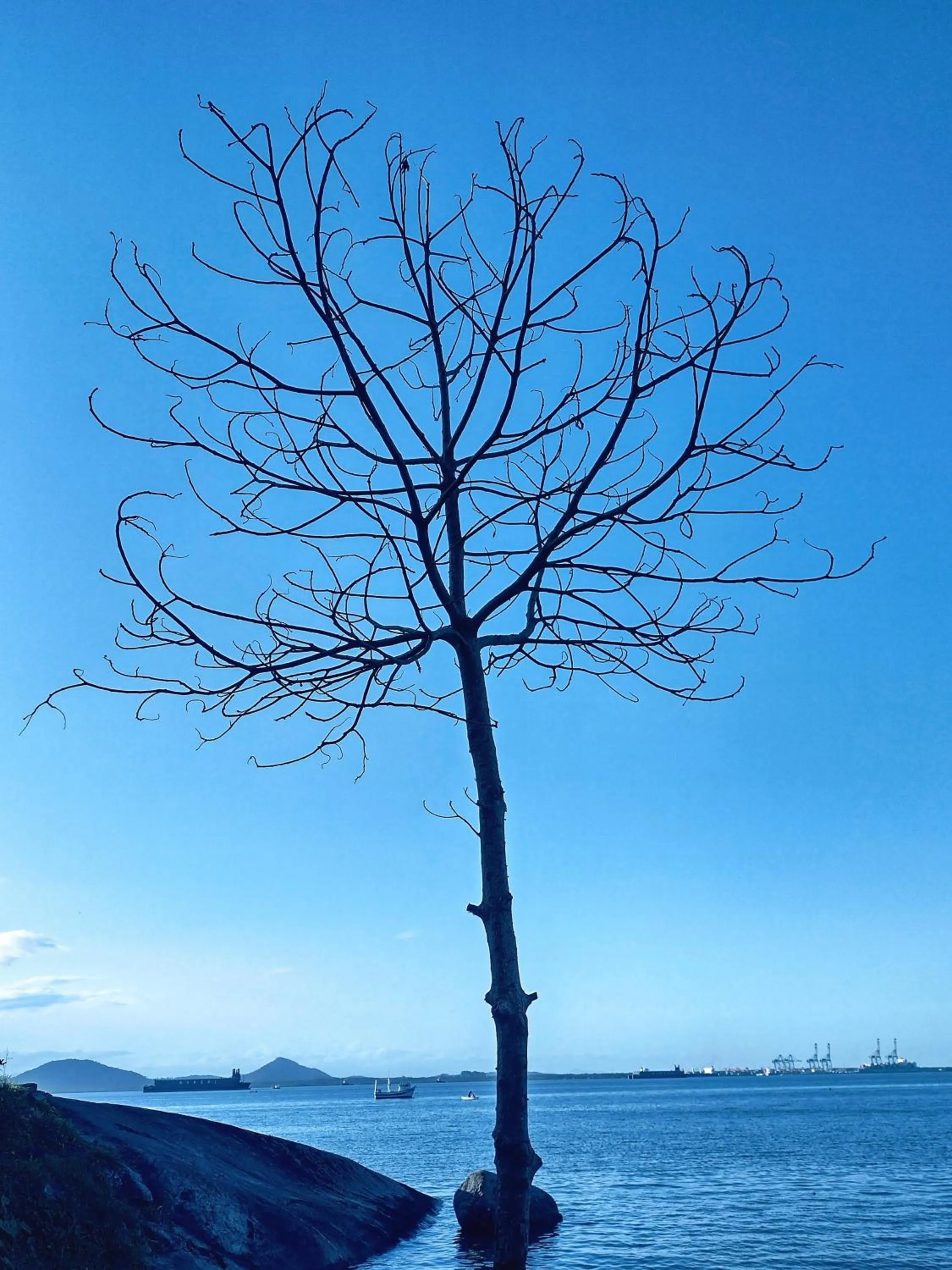 Beach in Pousada Pedra das Tartarugas