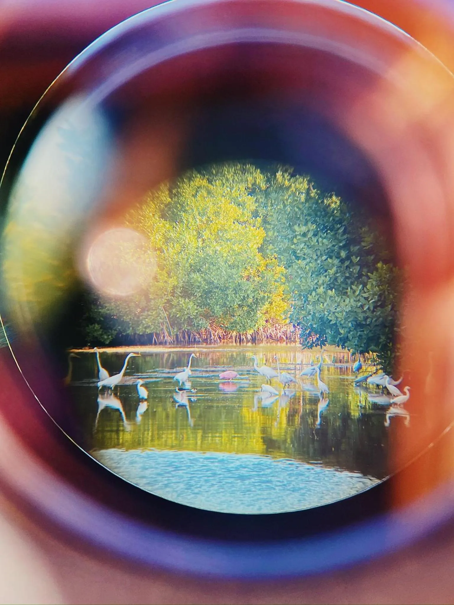 Barefoot Beach Belize