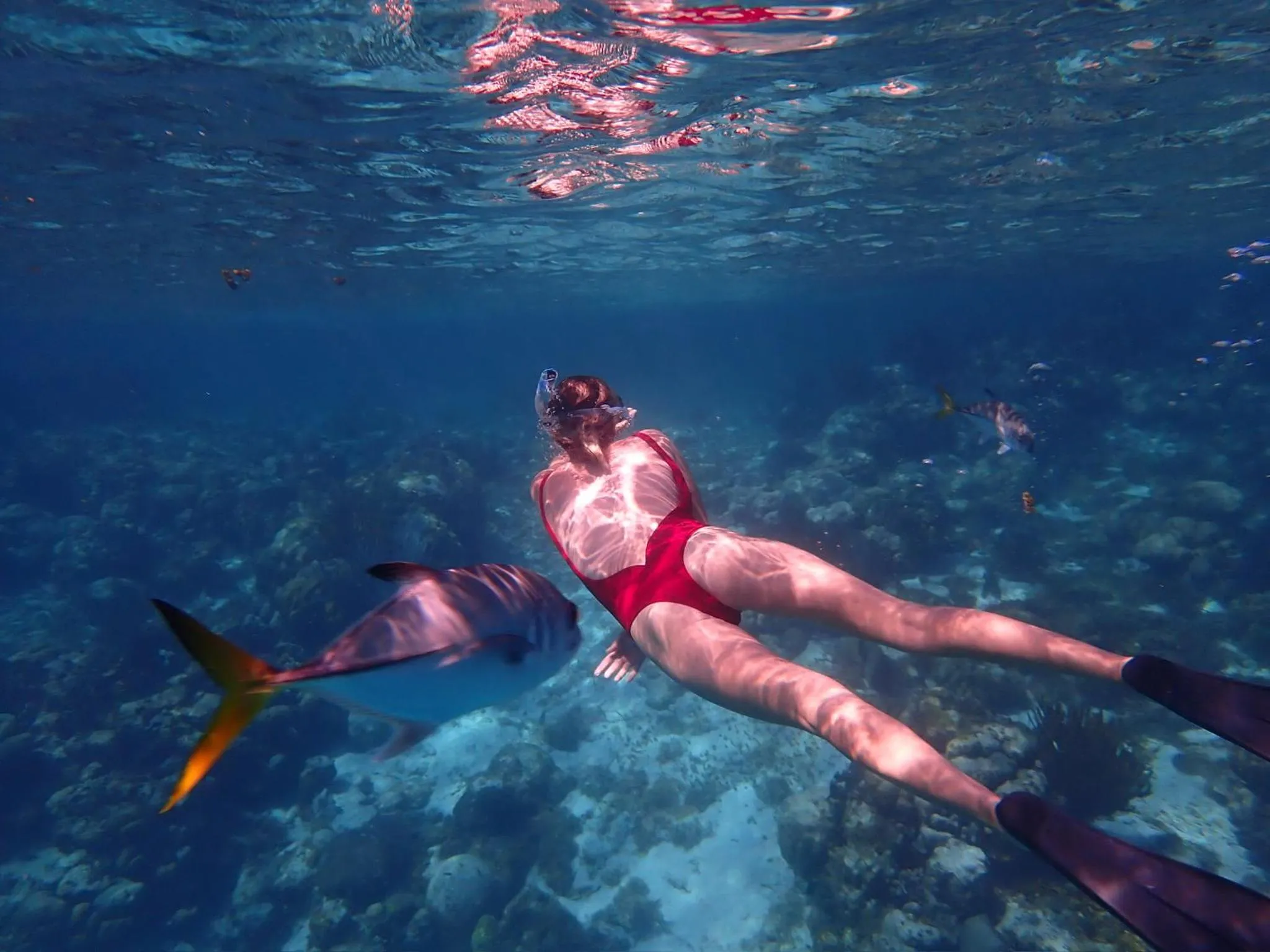 Barefoot Beach Belize