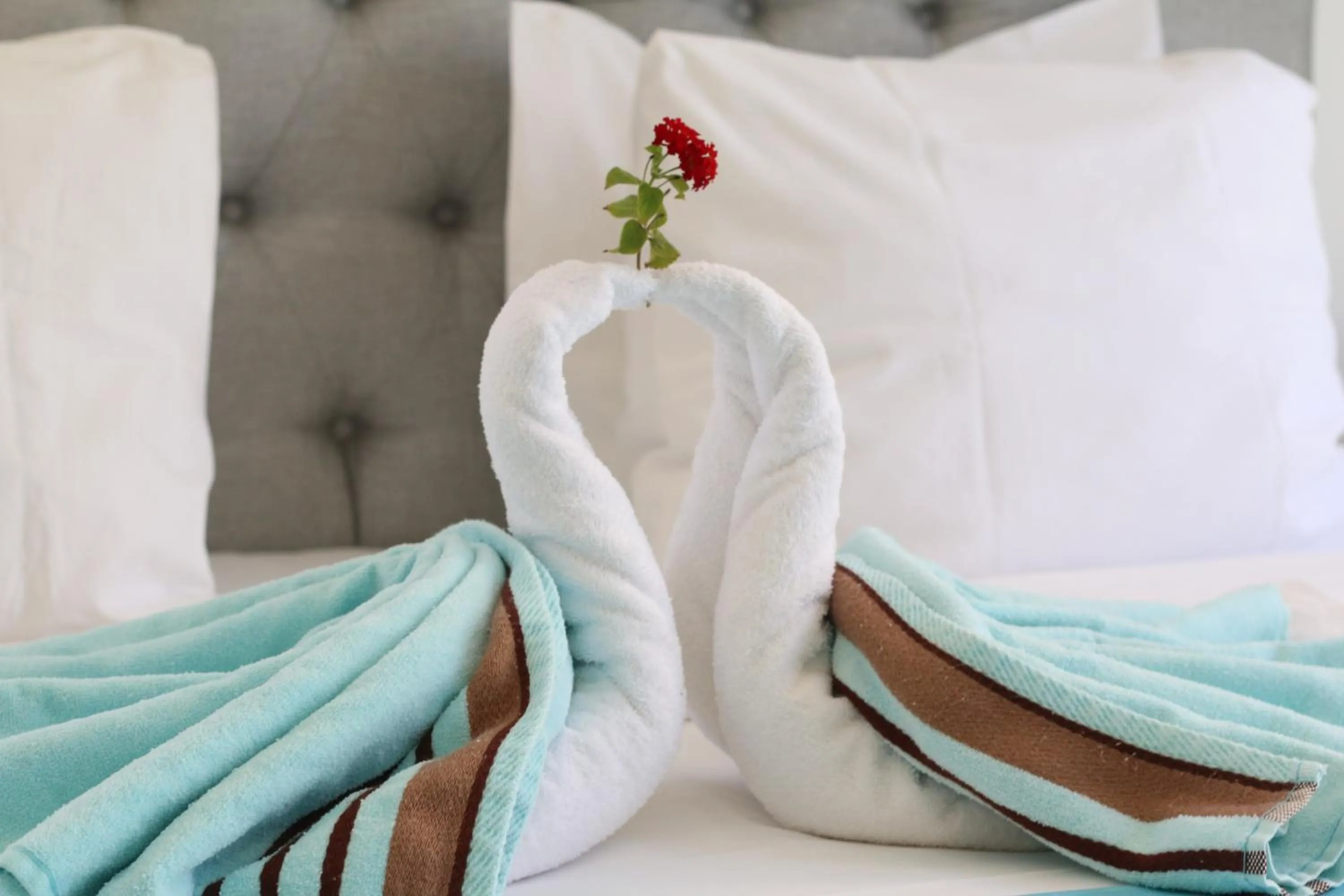towels, Bed in Hotel Islander Bonaire