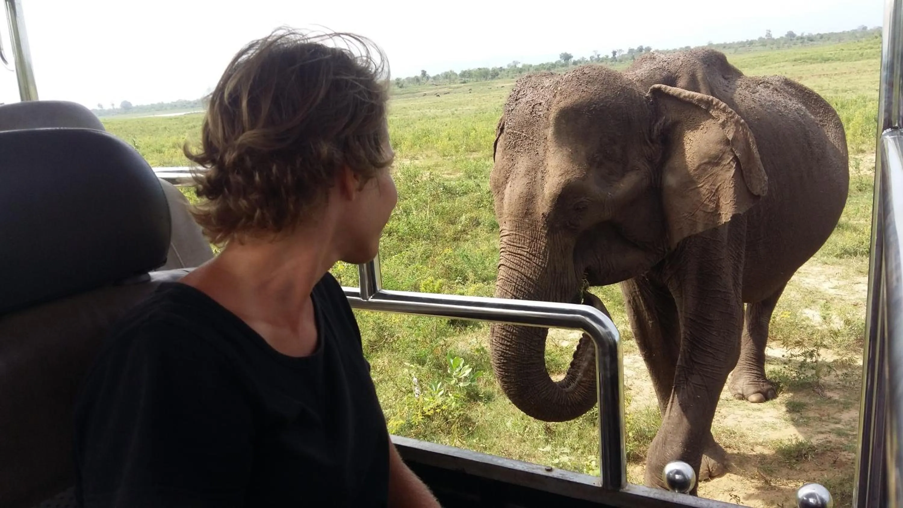 Day in Butterfly Homestead Hotel