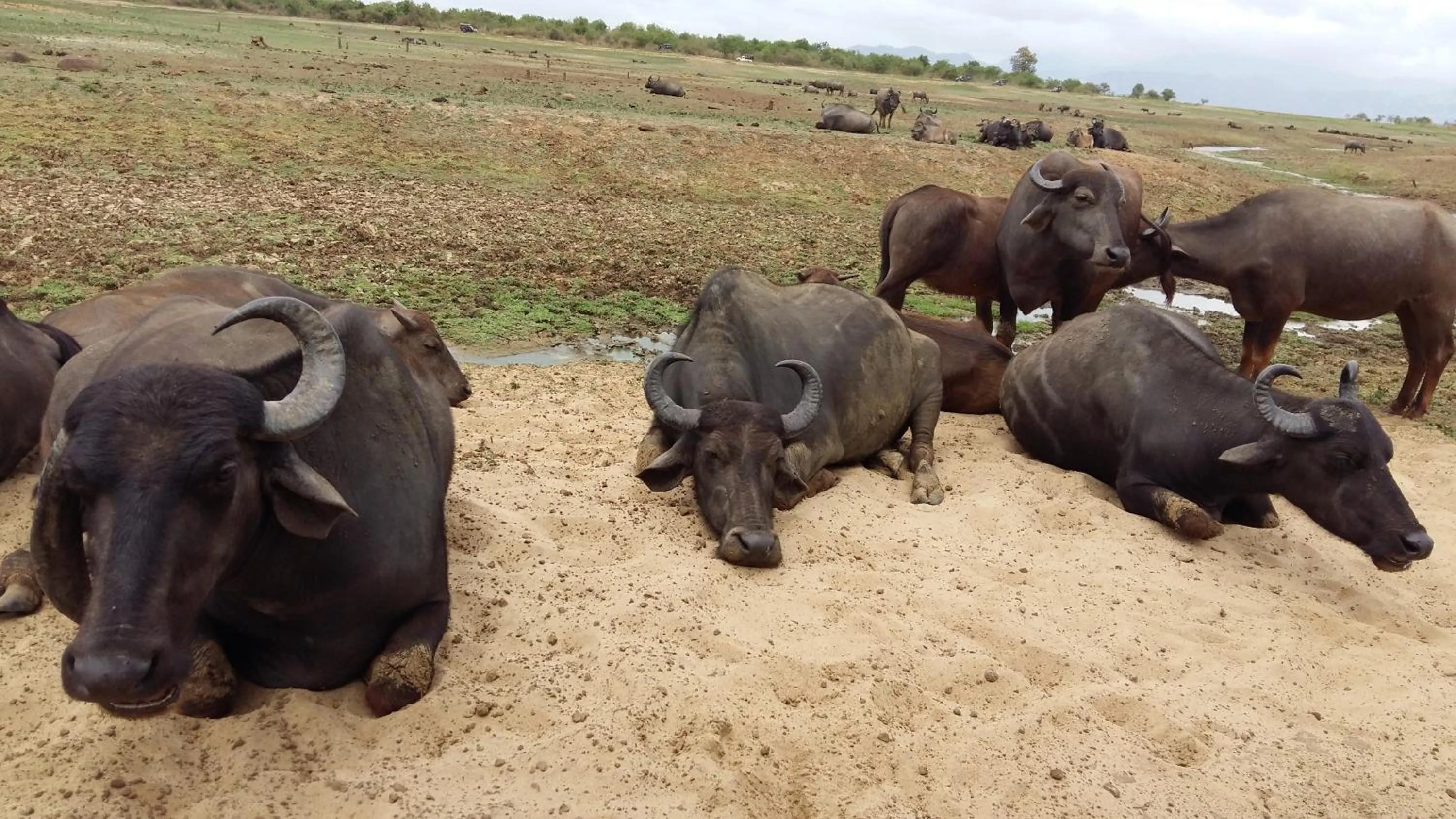 Day in Butterfly Homestead Hotel