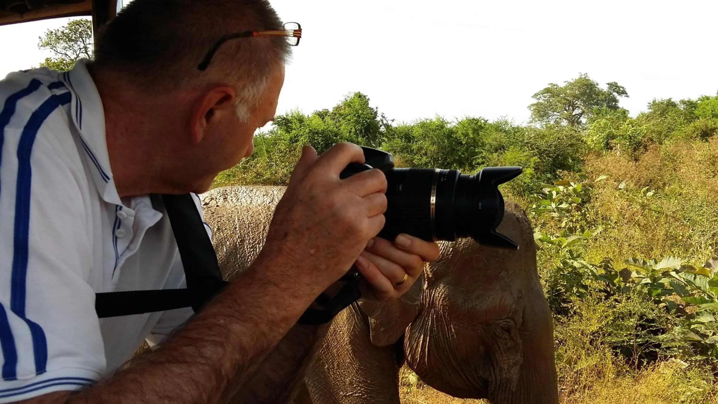 Day in Butterfly Homestead Hotel