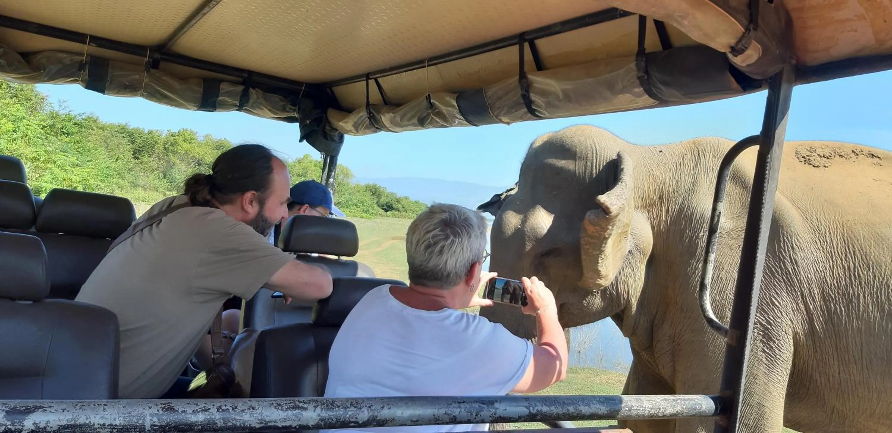 Day in Butterfly Homestead Hotel