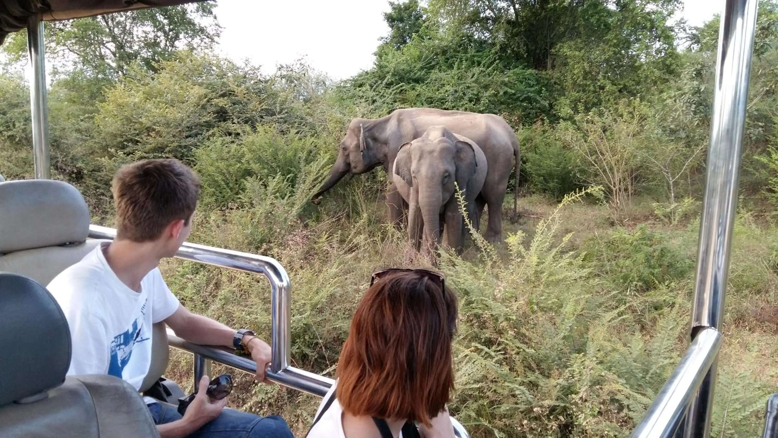 Day in Butterfly Homestead Hotel
