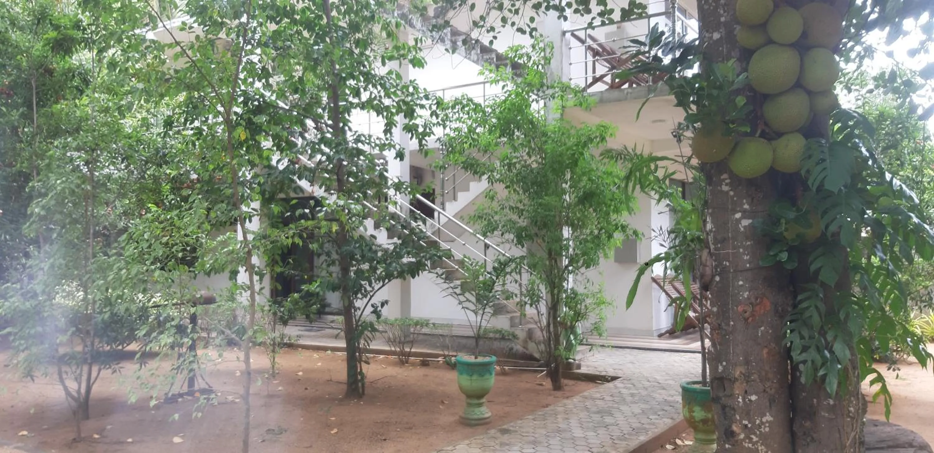 Garden in Butterfly Homestead Hotel