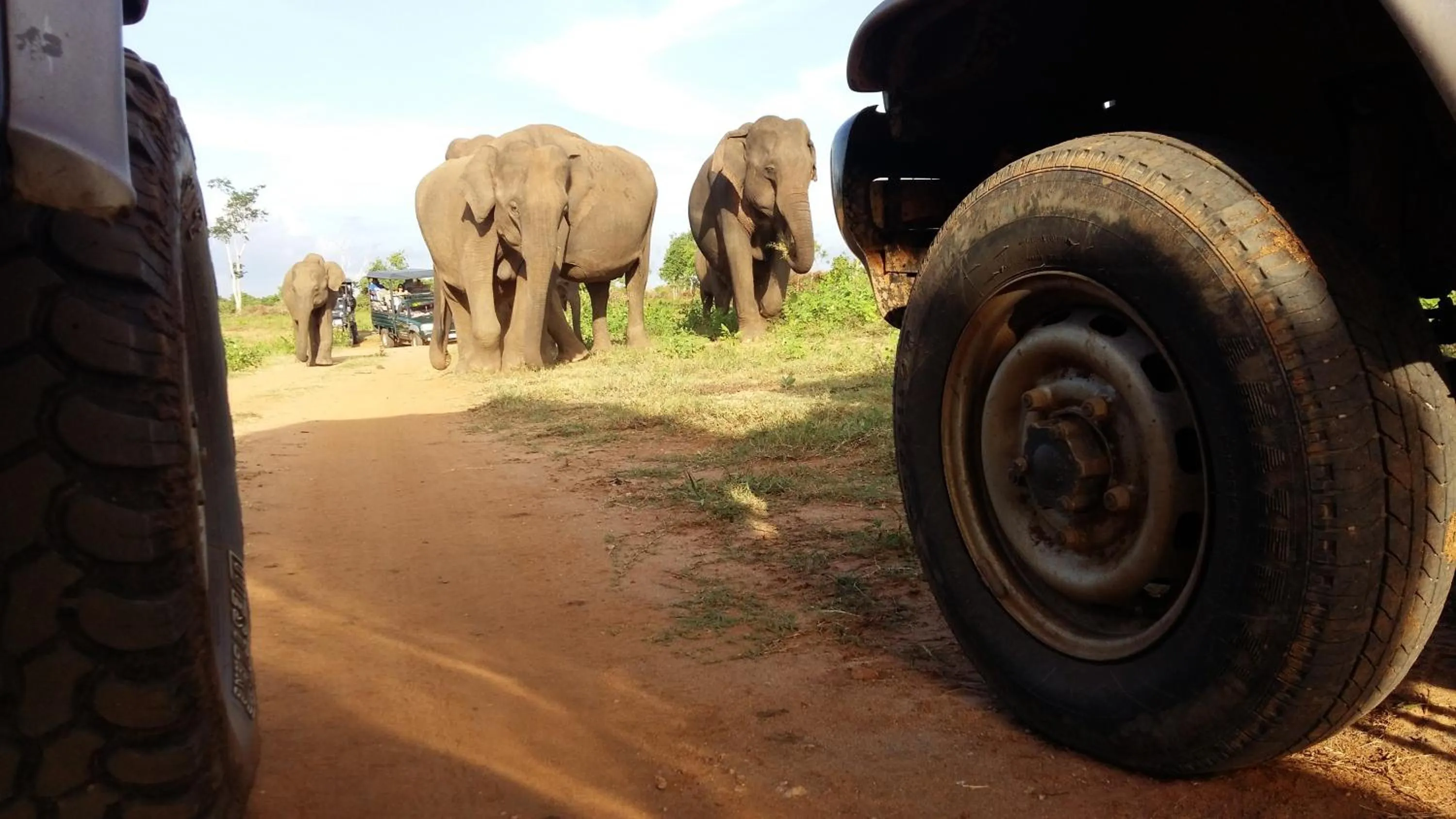 Day in Butterfly Homestead Hotel