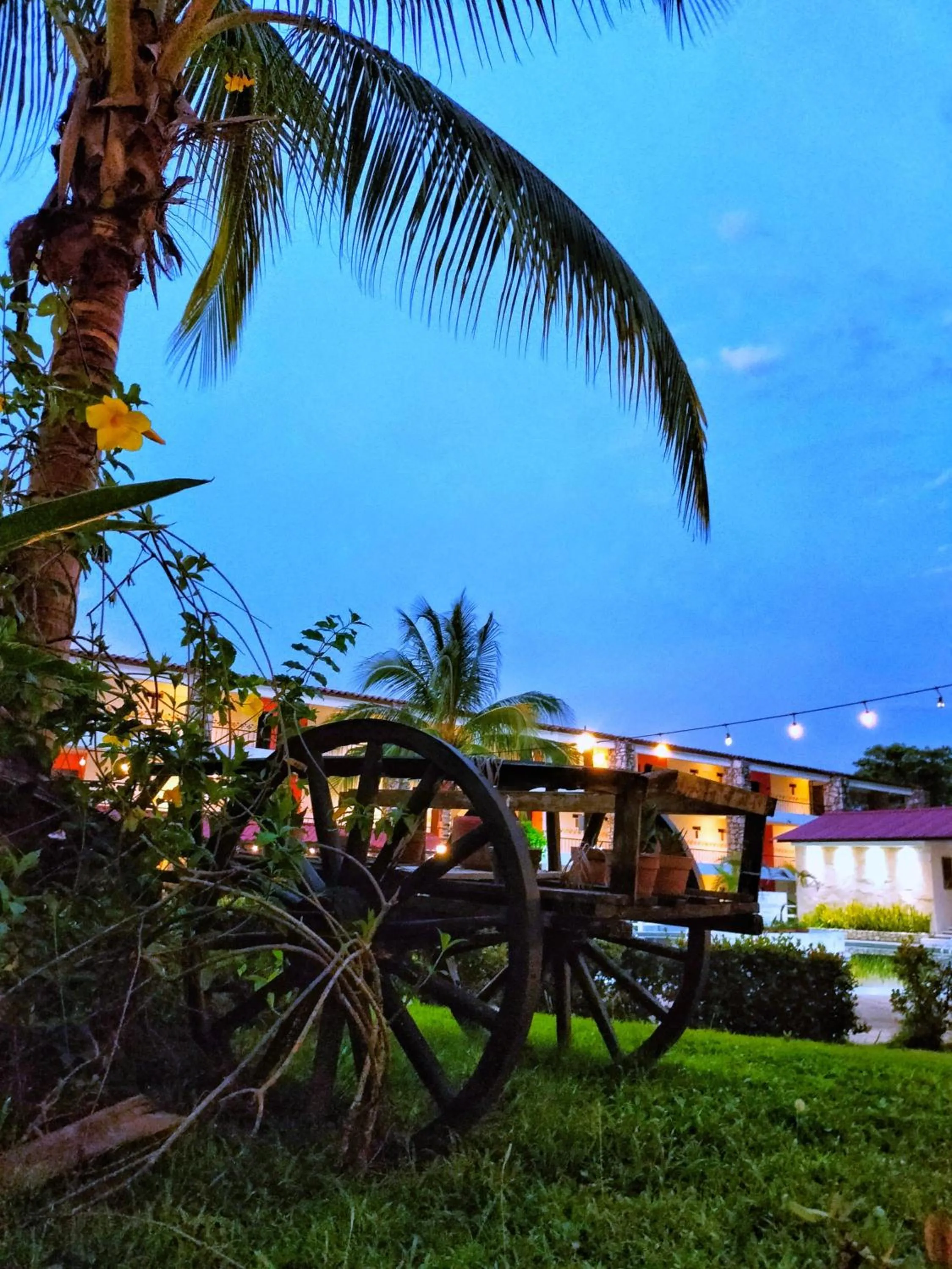 Garden view in Hotel Plaza Palenque