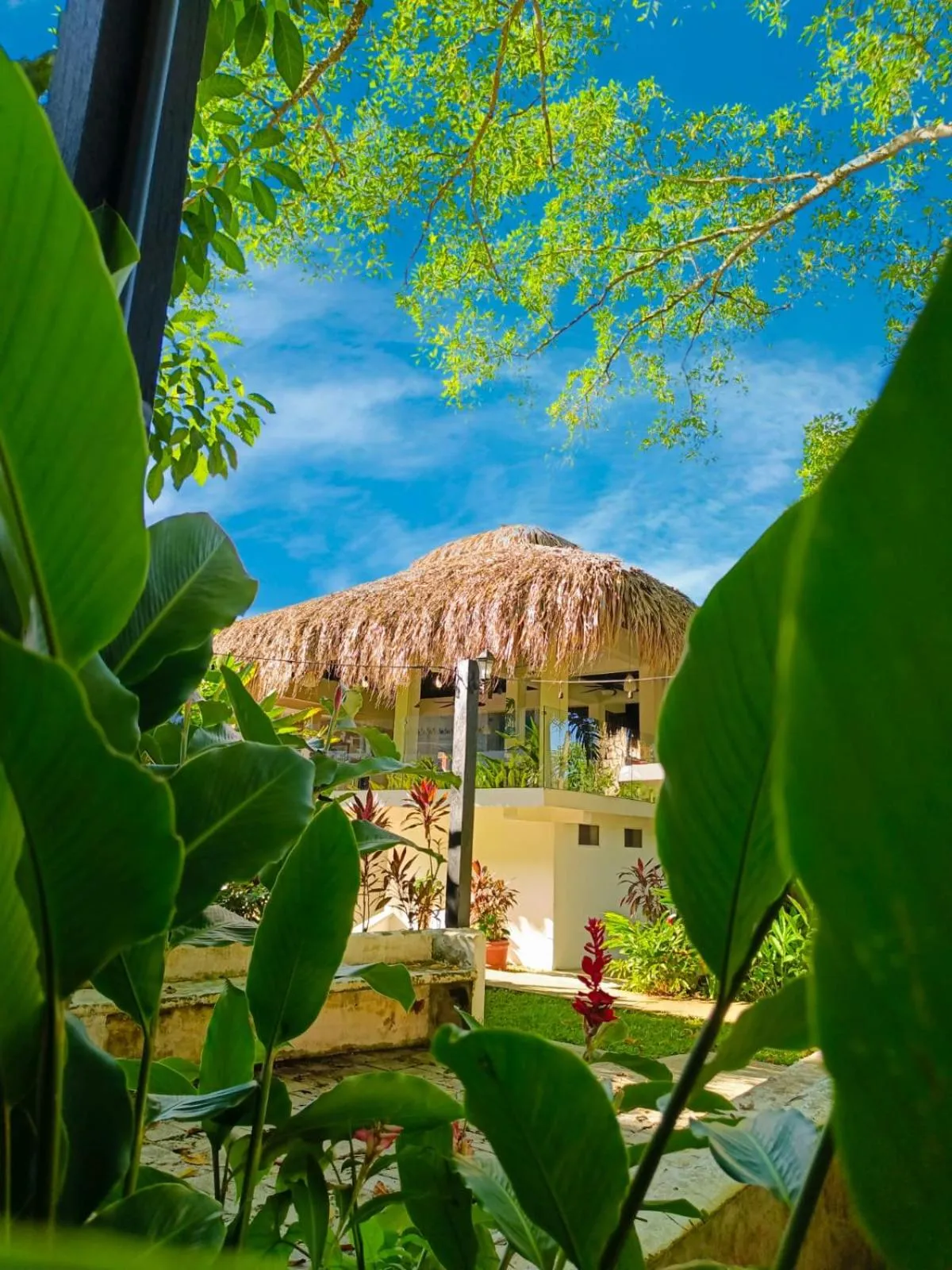 Spring in Hotel Plaza Palenque