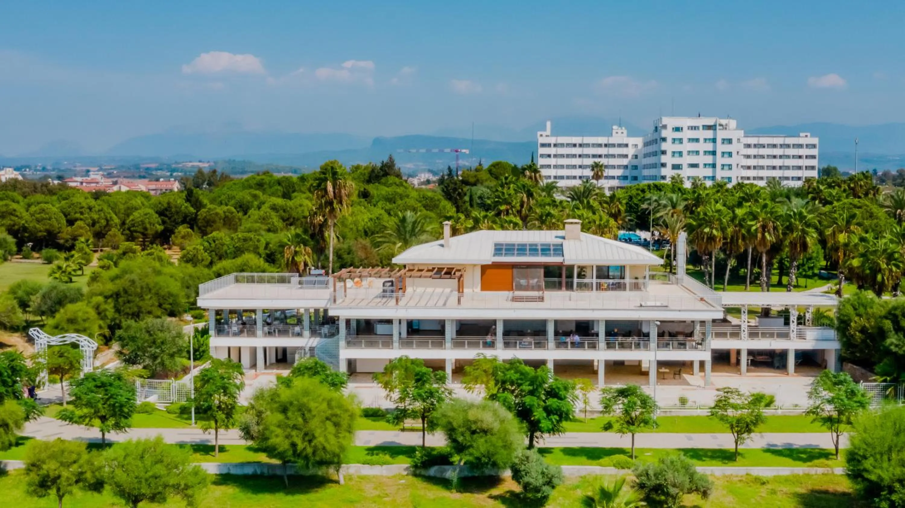 Lounge or bar in Sural Hotel