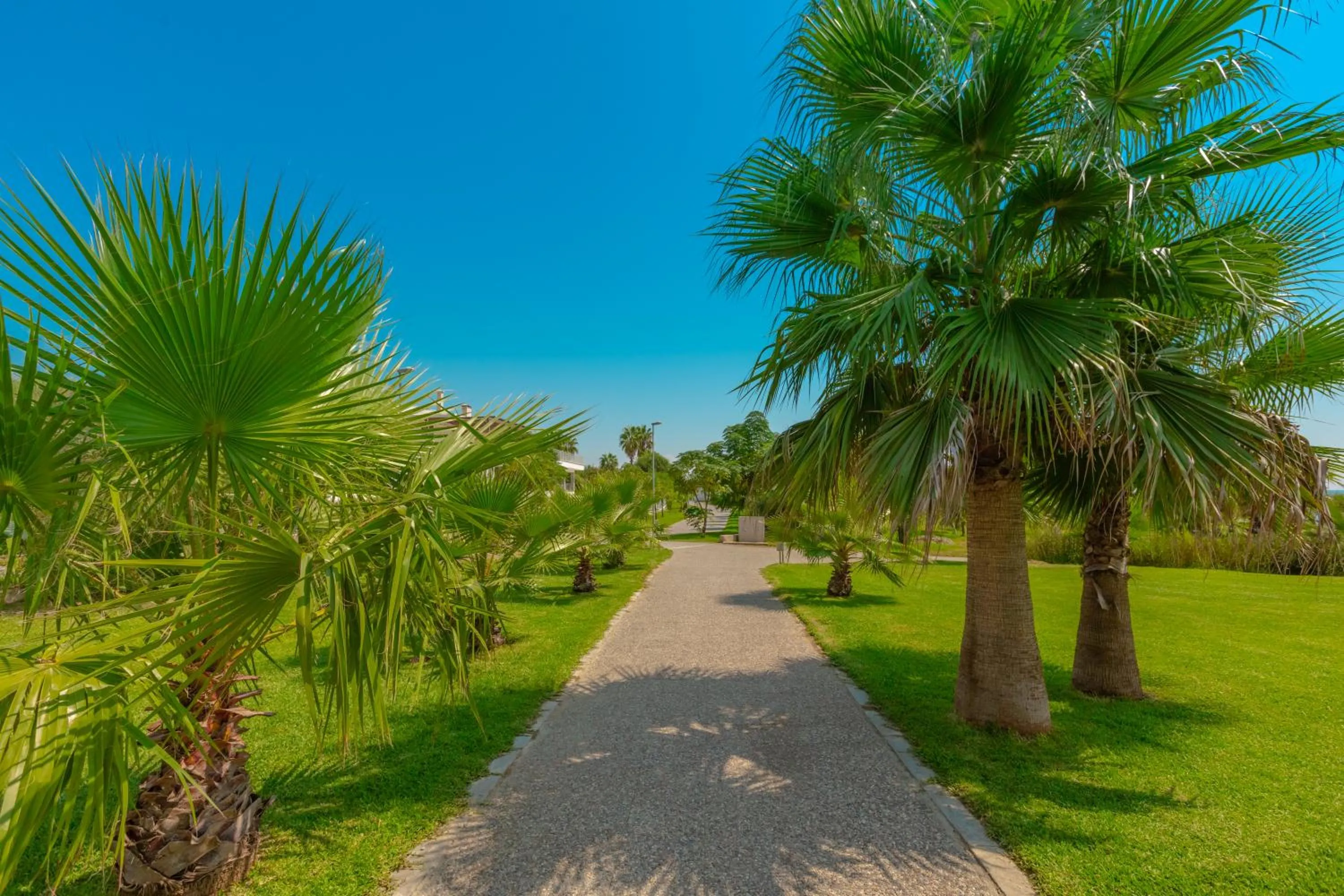 Garden in Sural Hotel