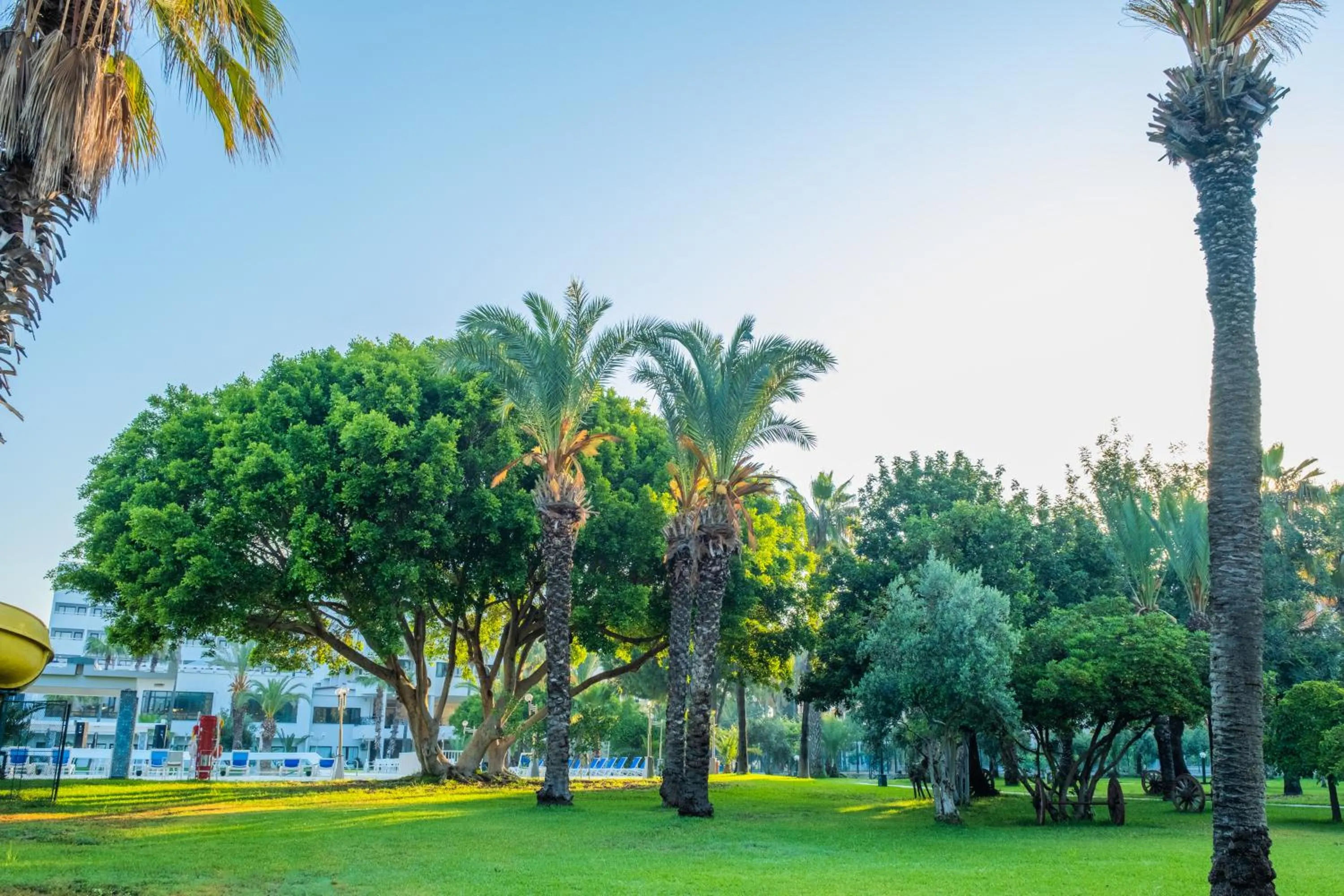 Garden in Sural Hotel