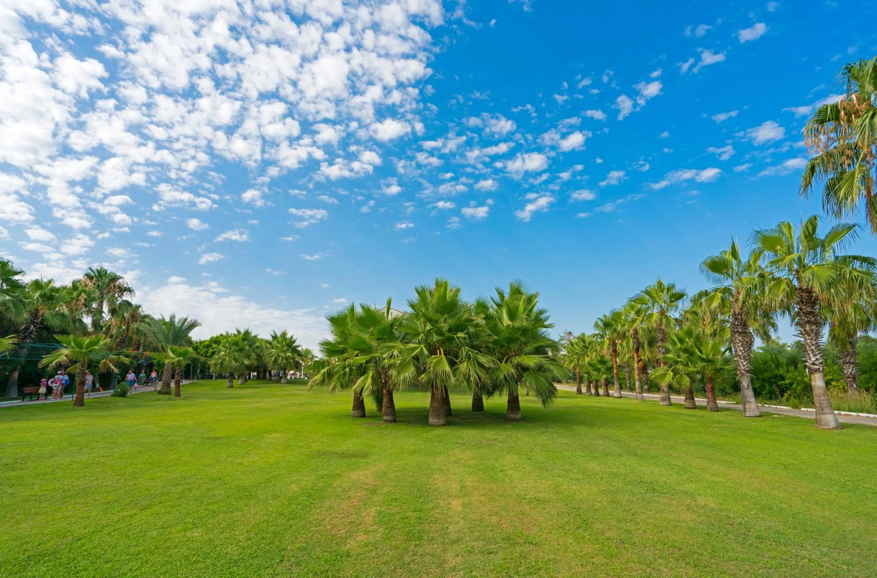 Garden in Sural Resort Hotel