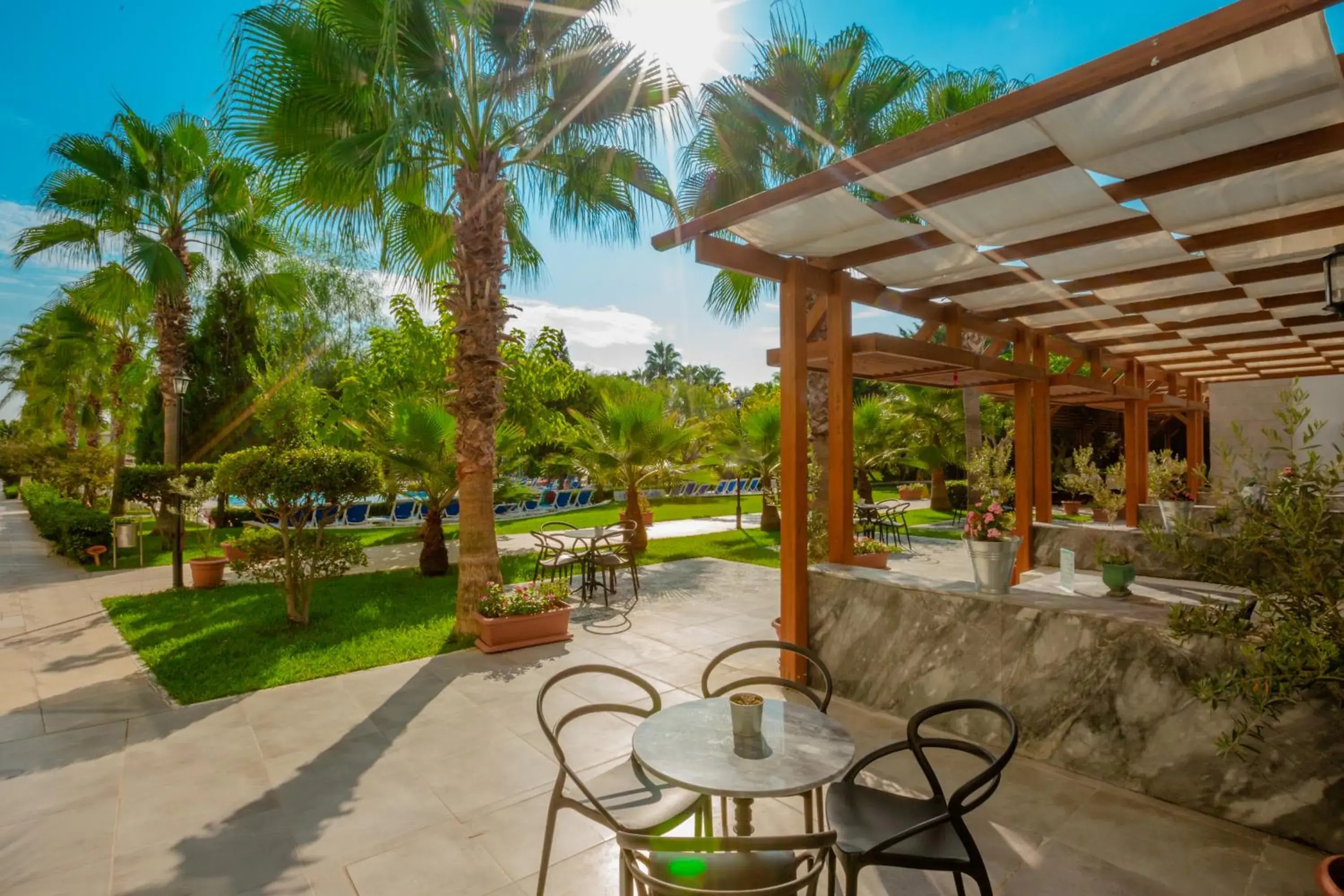 Lounge or bar in Sural Resort Hotel Lounge or bar in Sural Resort Hotel