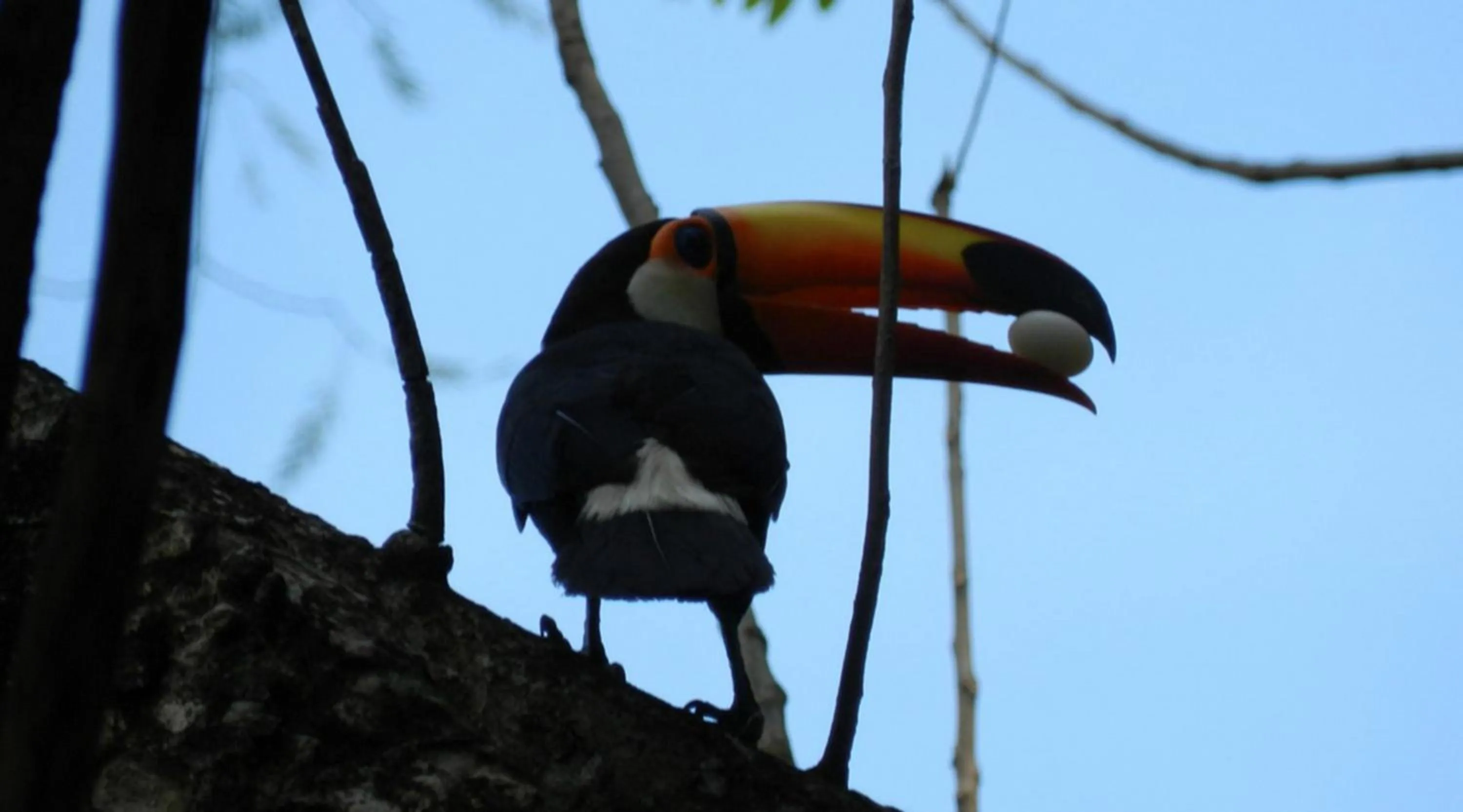 Natural landscape in IMG Hotel Rio Quente