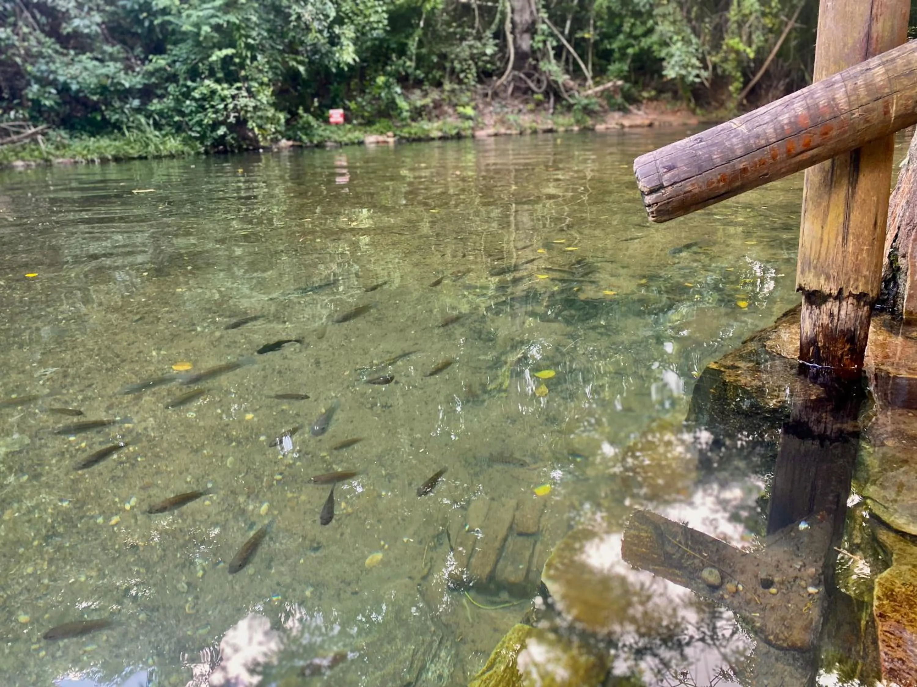 Natural landscape in IMG Hotel Rio Quente