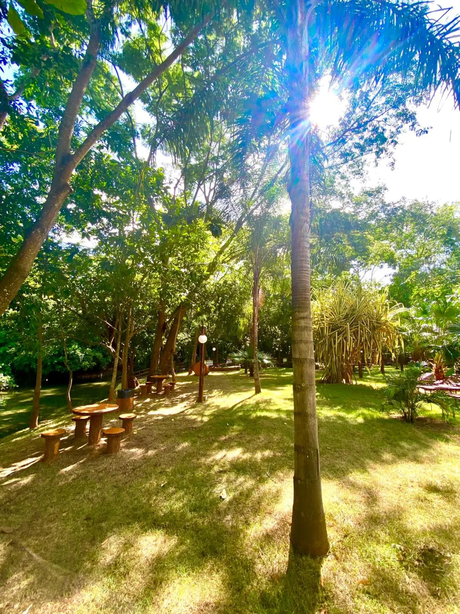 Natural landscape in IMG Hotel Rio Quente