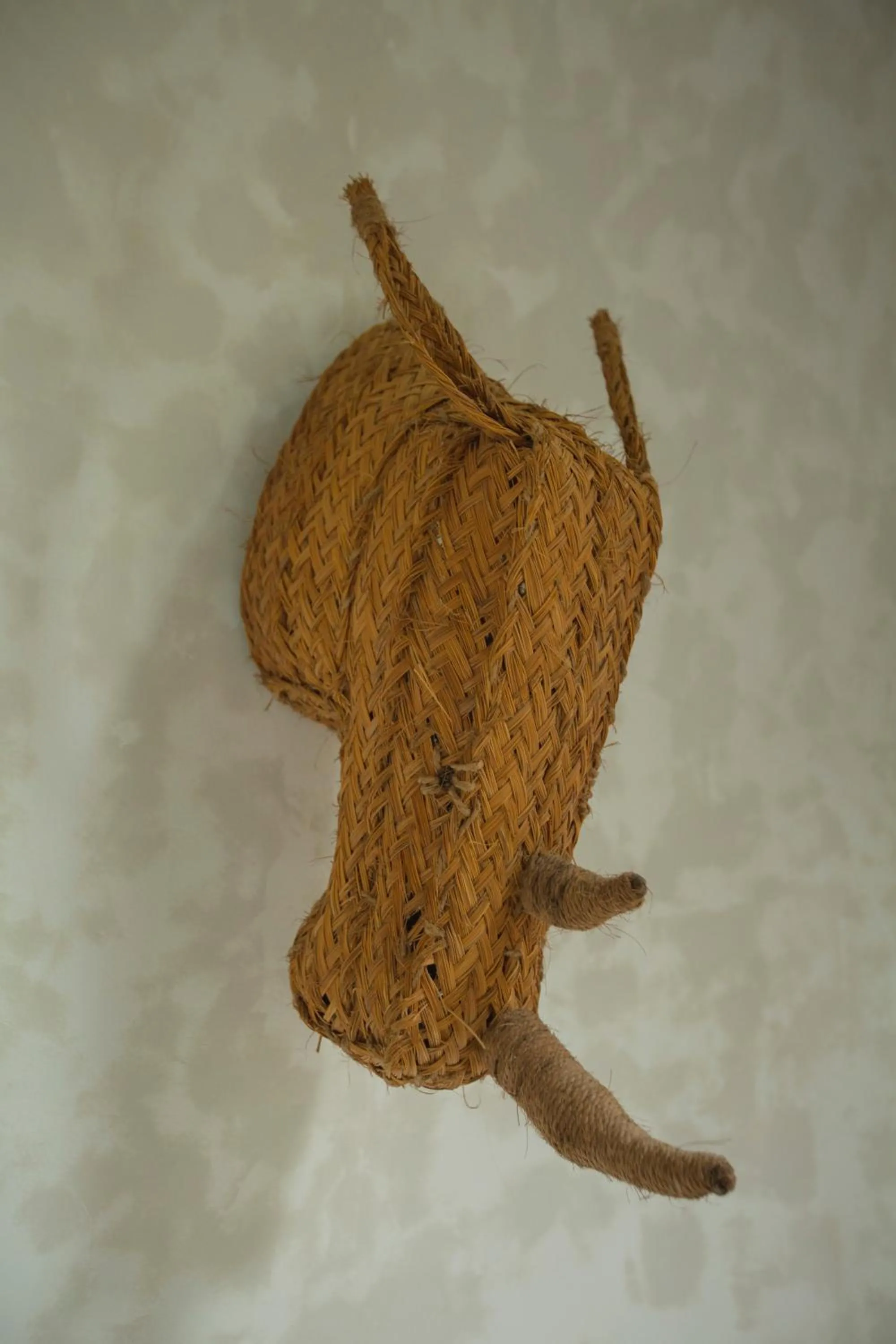 Decorative detail in Panorama Boutique Hotel & Beach Club