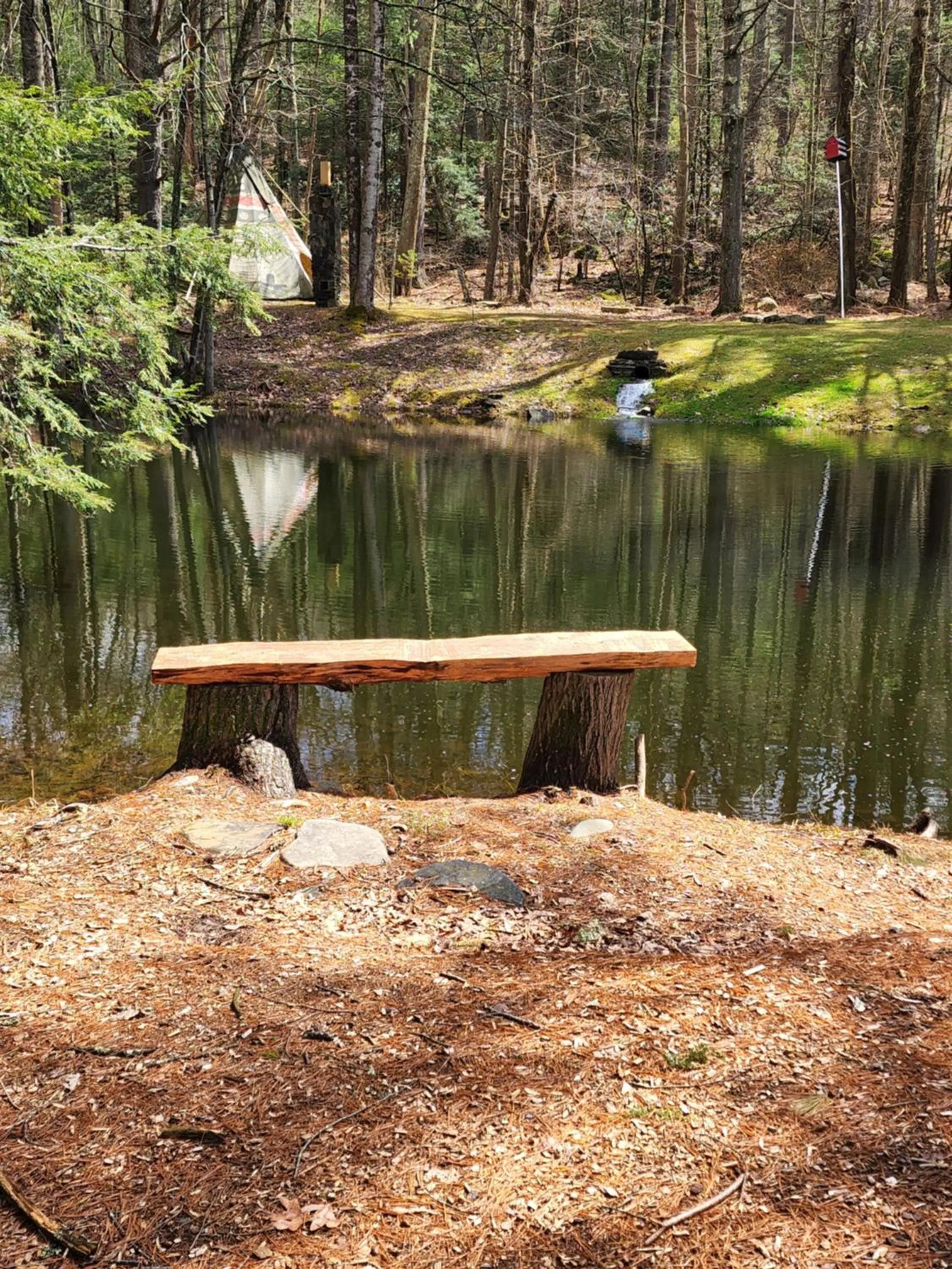 Fishing in Magnolia Streamside Resort