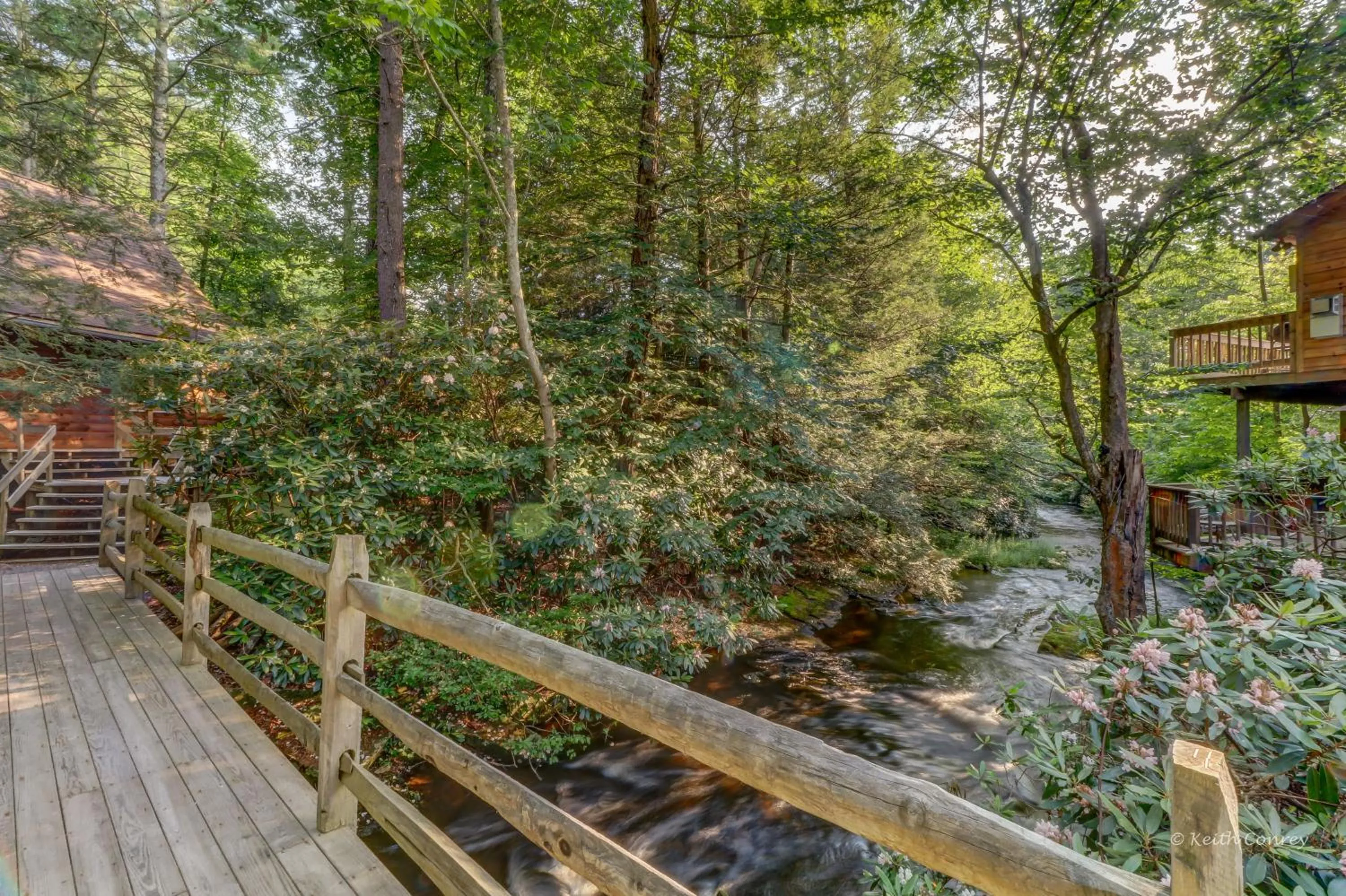 Natural landscape in Magnolia Streamside Resort