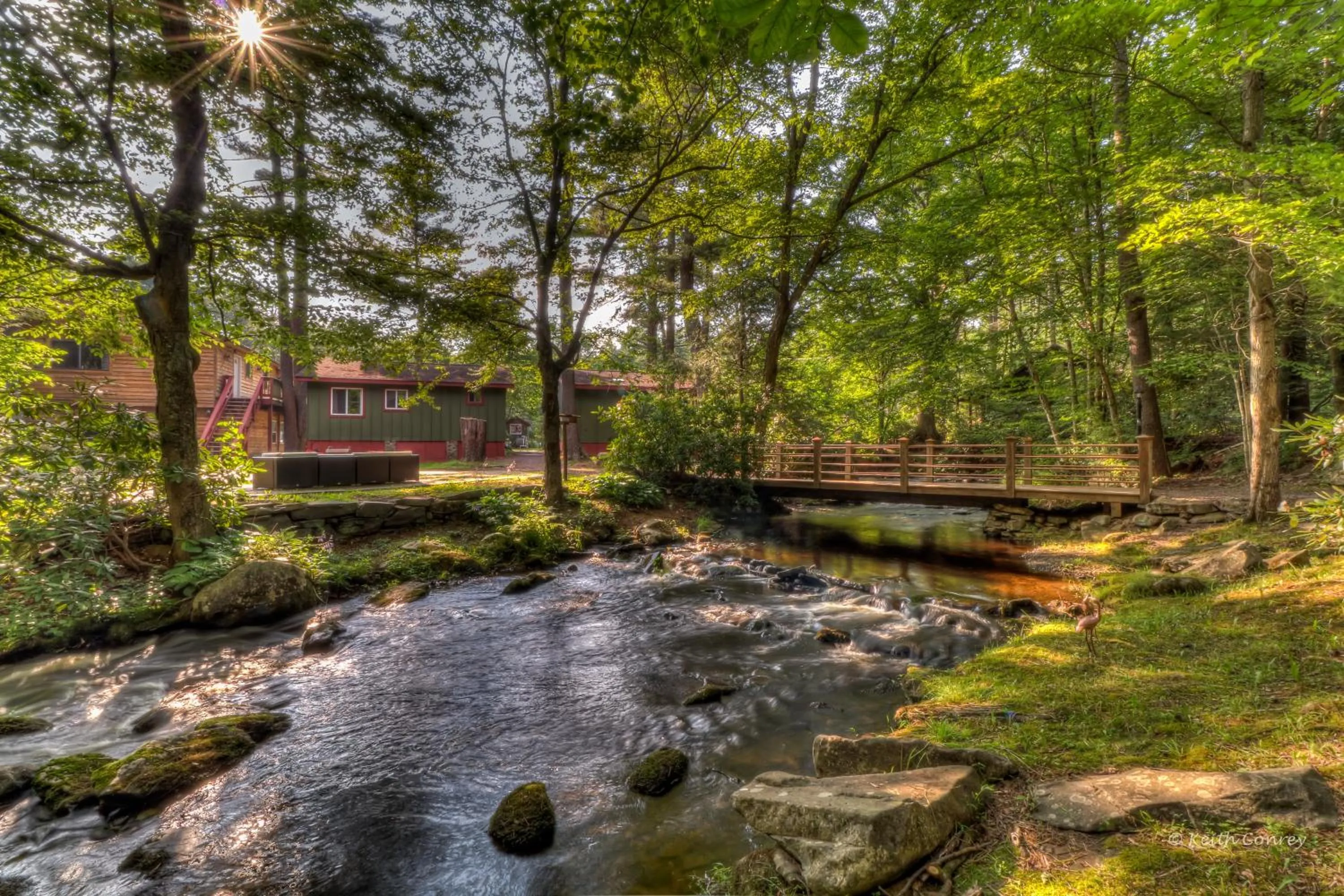 Natural landscape in Magnolia Streamside Resort