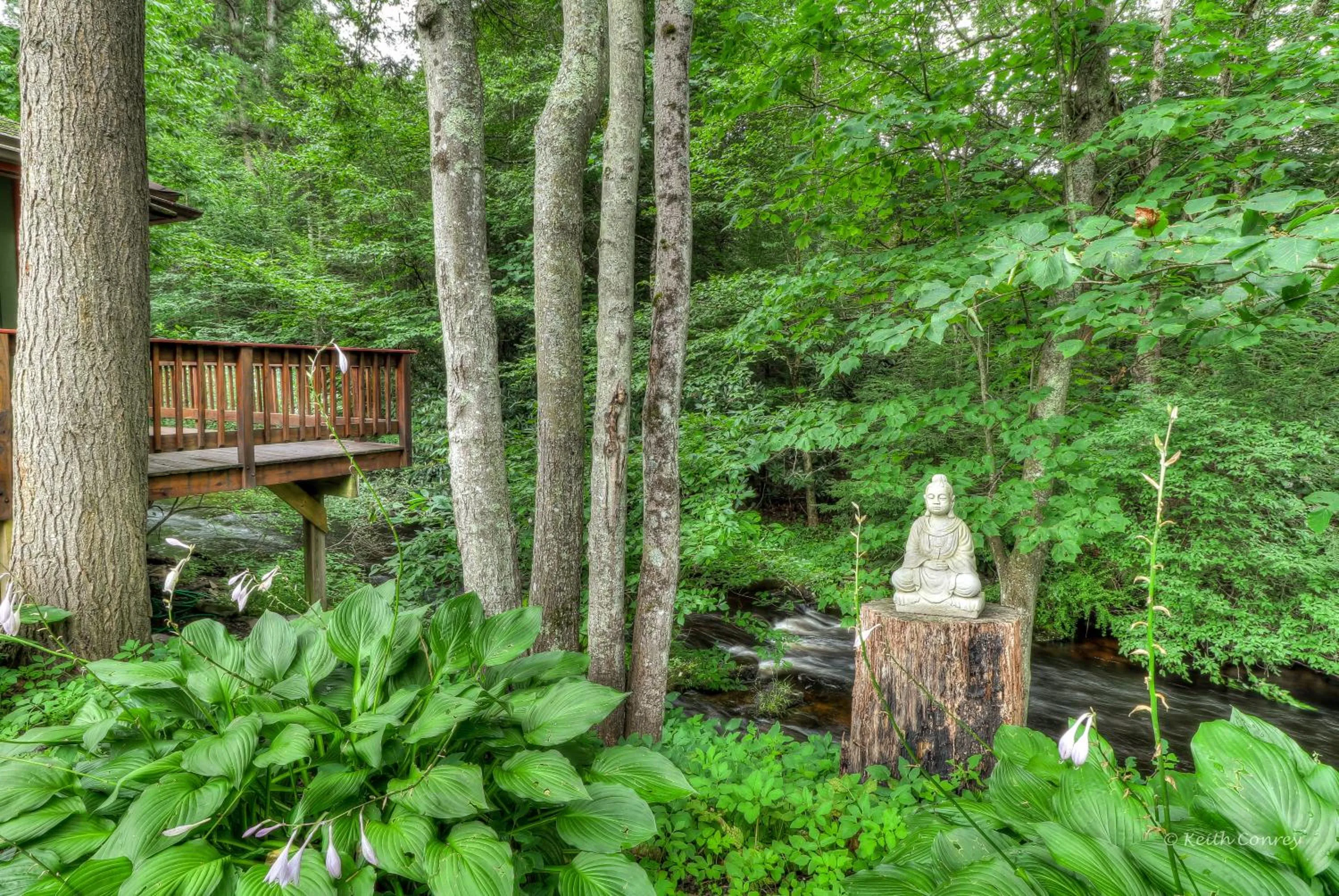 Natural landscape in Magnolia Streamside Resort