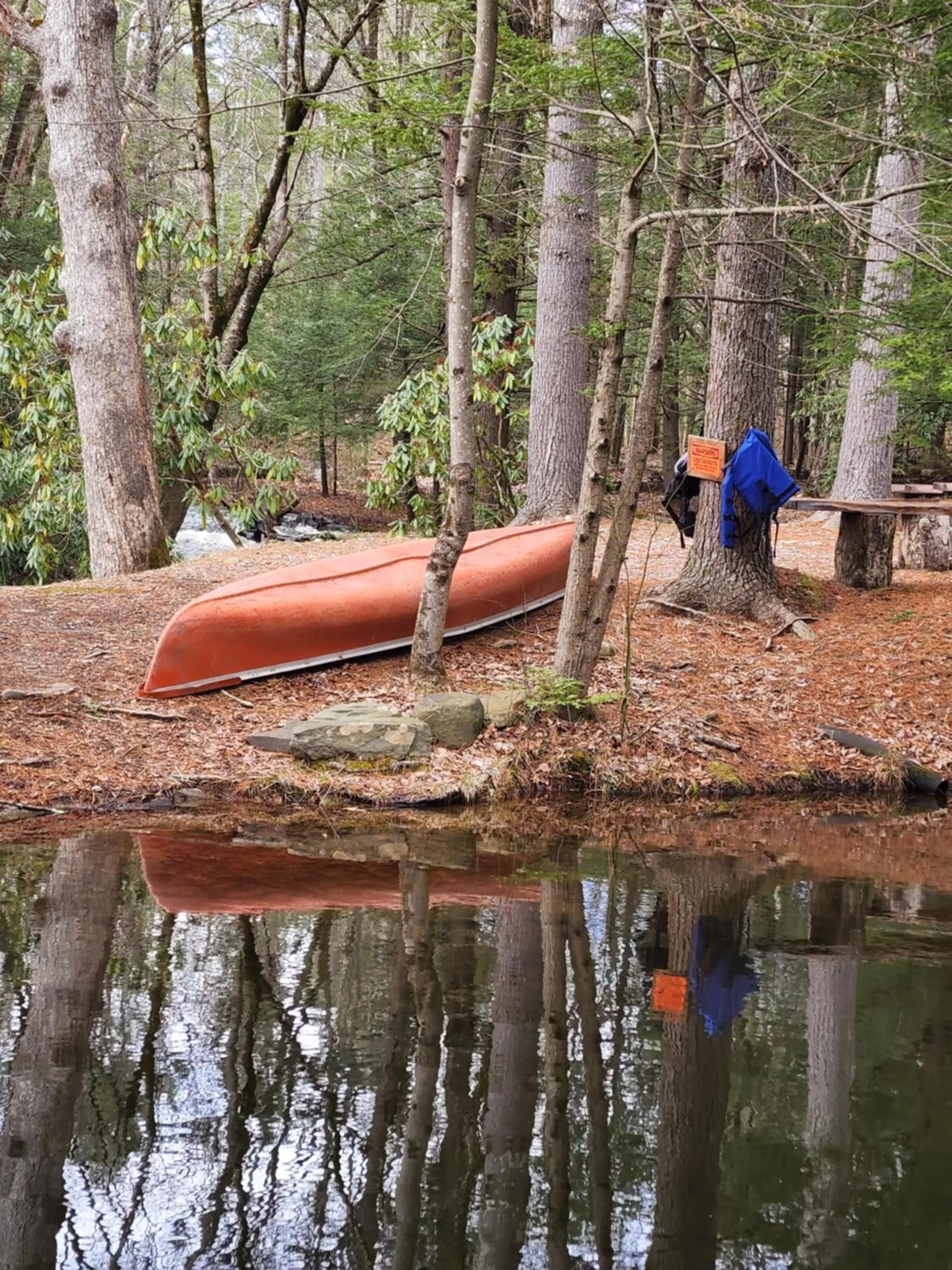 Canoeing in Magnolia Streamside Resort