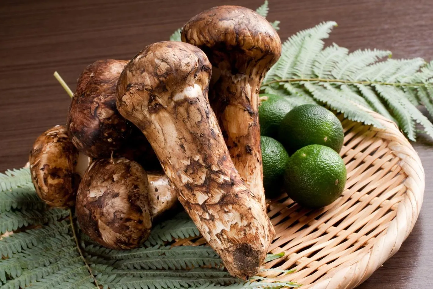 Food close-up in Ito Yukitei