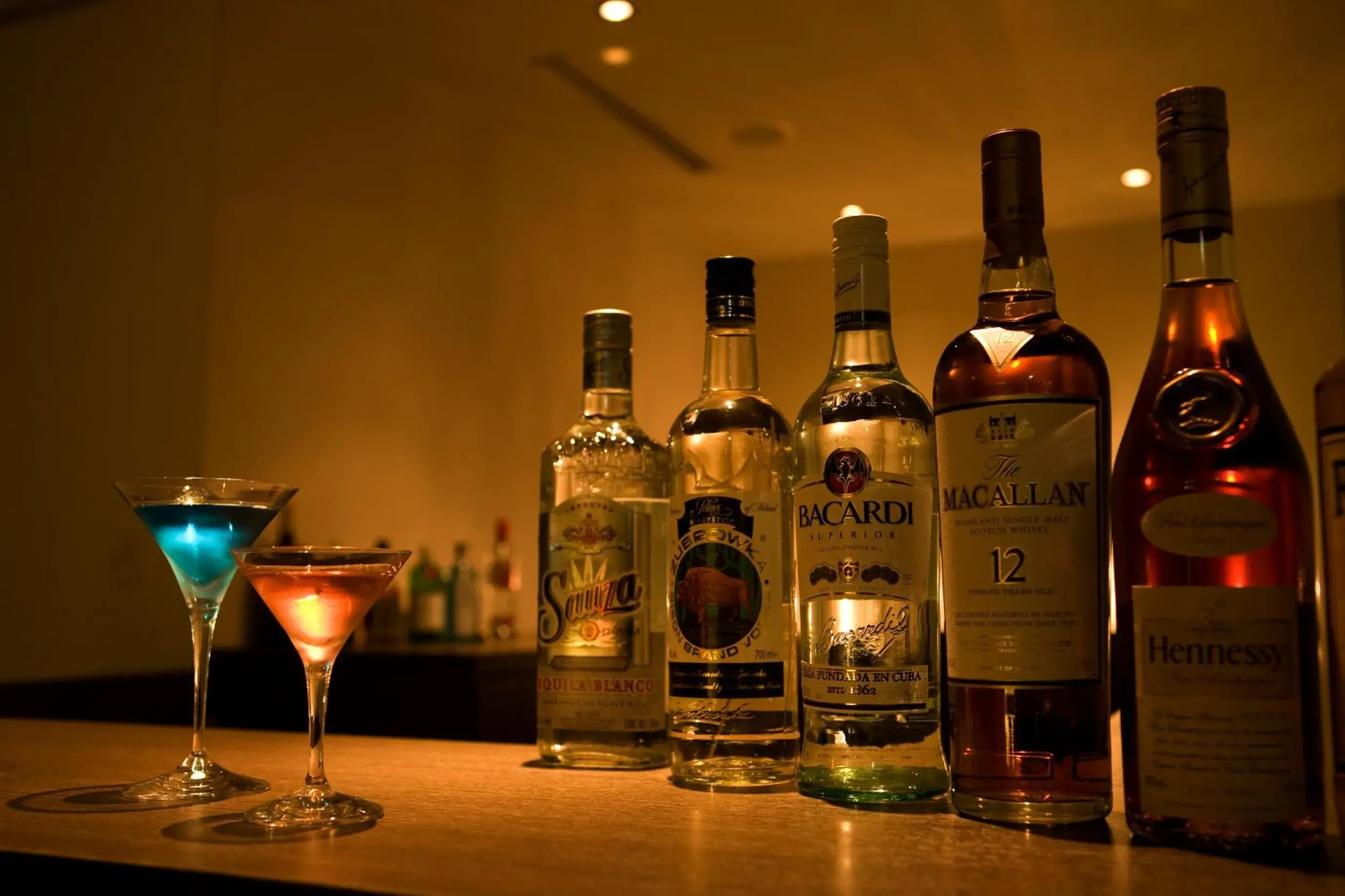 Lounge or bar in Ito Yukitei Lounge or bar in Ito Yukitei